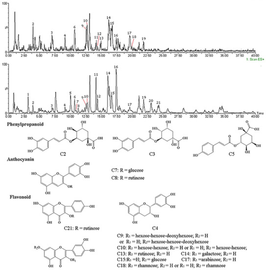 huuu Evolution of Copolymers of Epoxides and CO2: Catalysts, Monomers