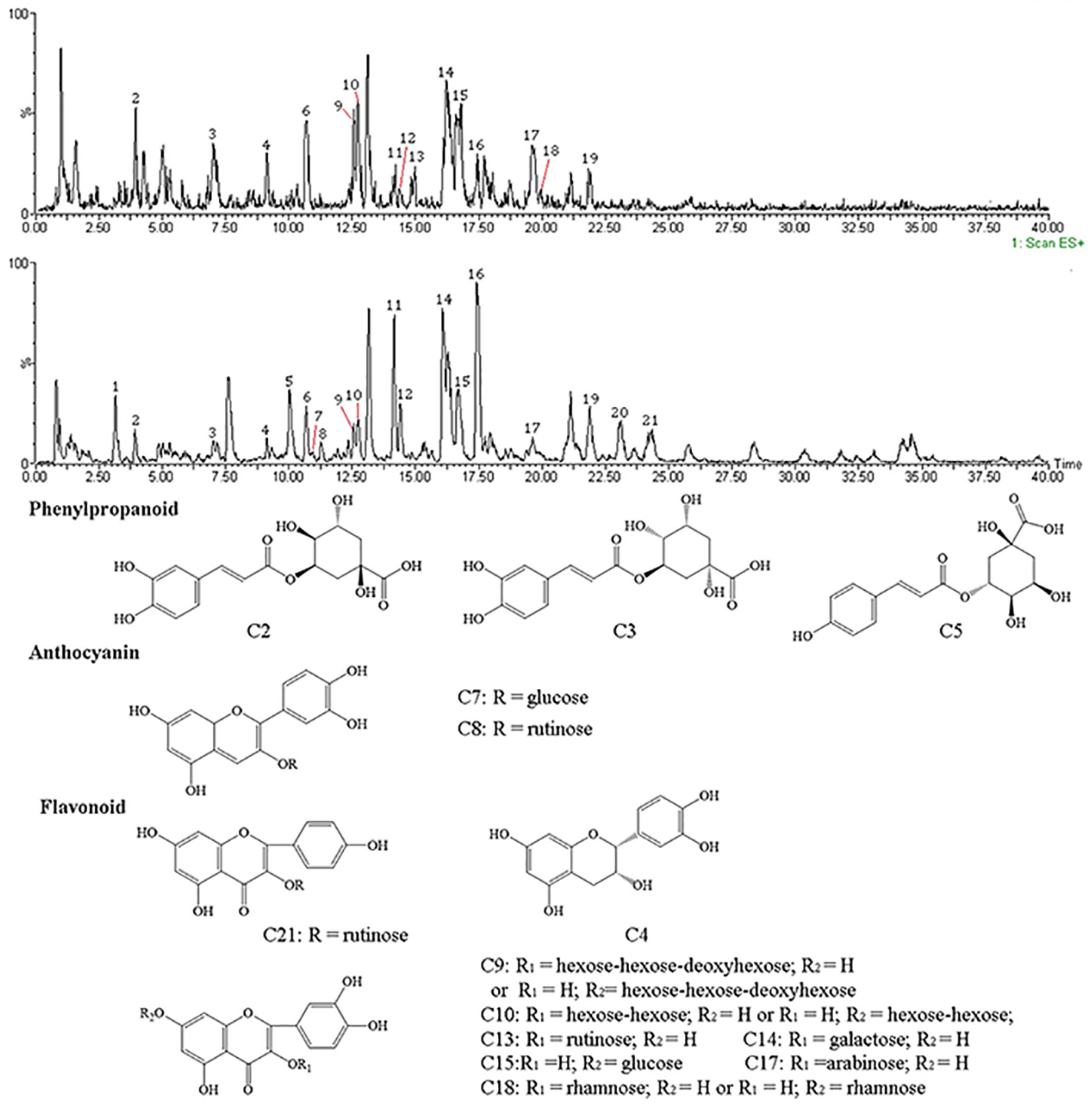 Molecules 23 01109 g004 550