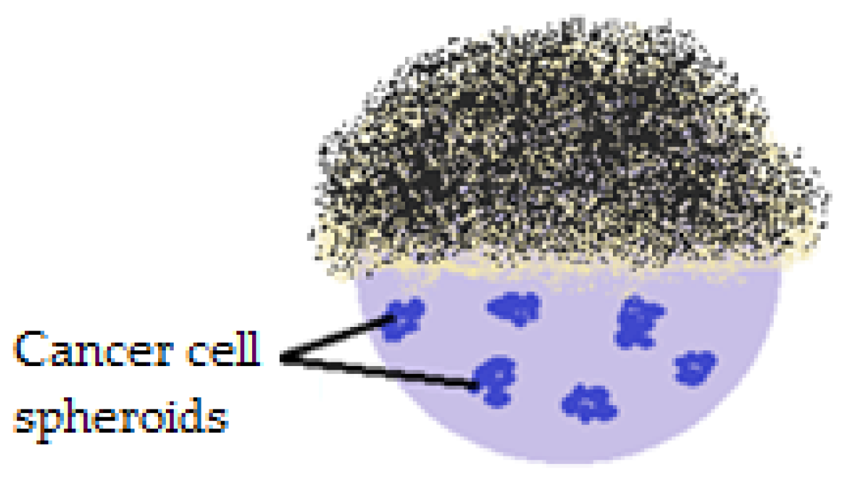 Molecules 23 01120 g018 Molecules 23 01120 g018