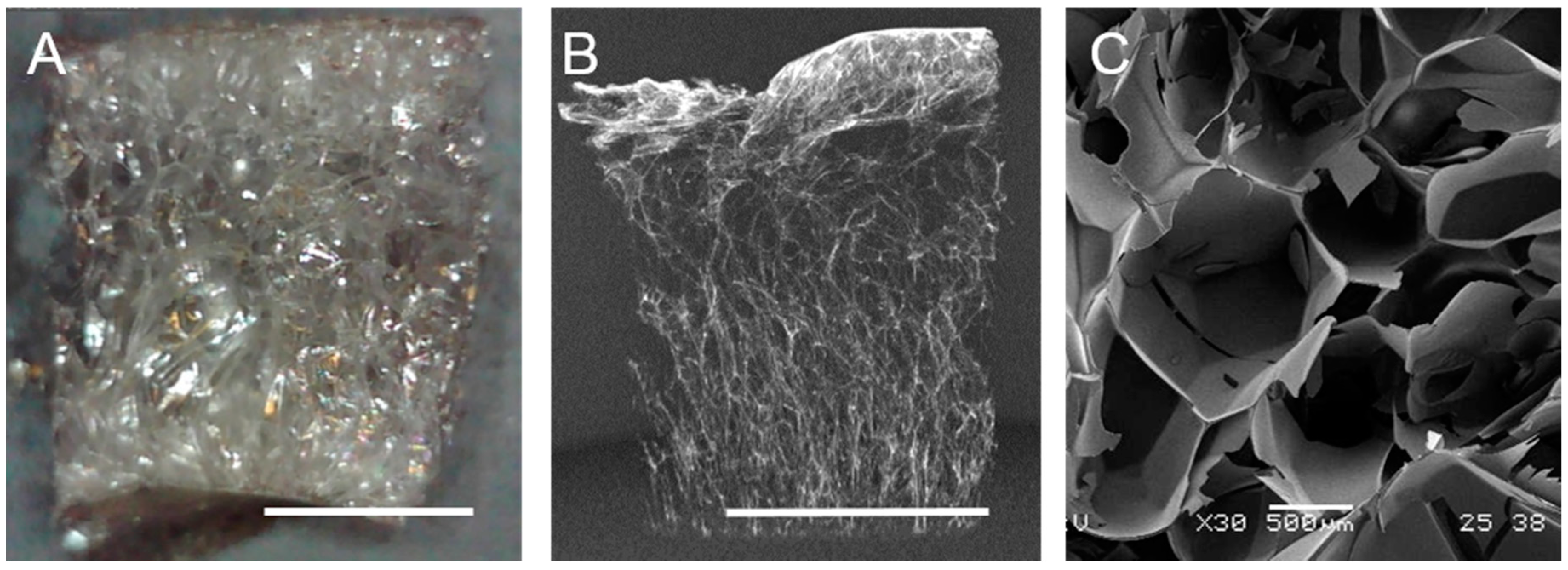 Molecules 23 01121 g001 Molecules 23 01121 g001