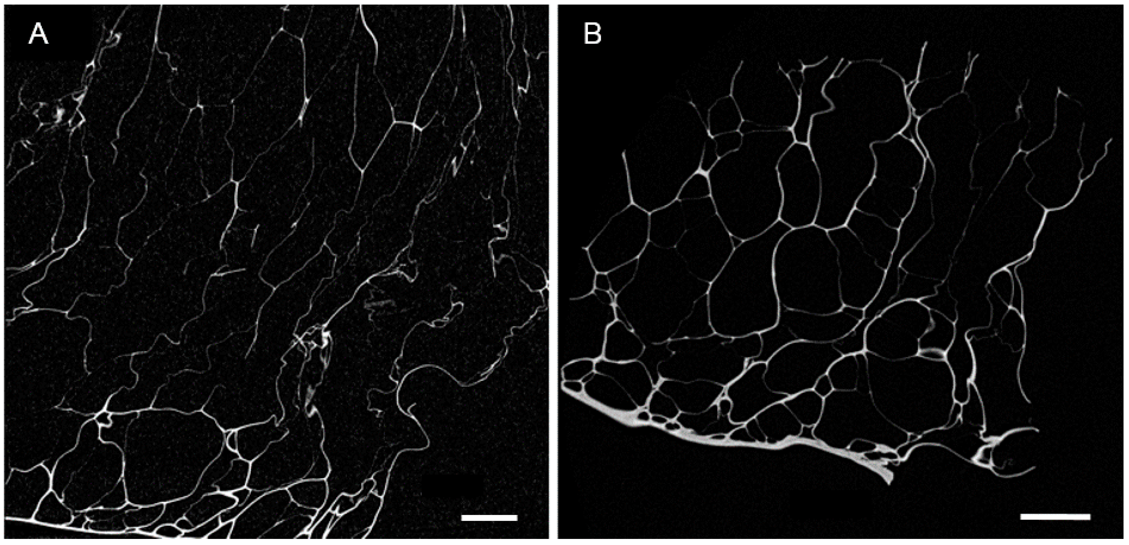 Molecules 23 01121 g002 Molecules 23 01121 g002