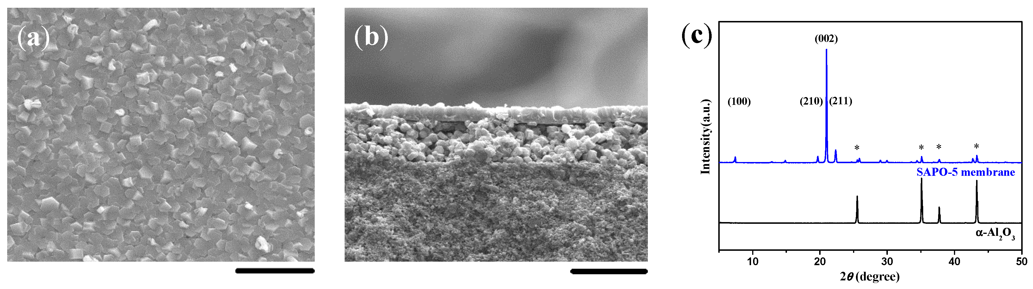 Molecules 23 01127 g001 Molecules 23 01127 g001