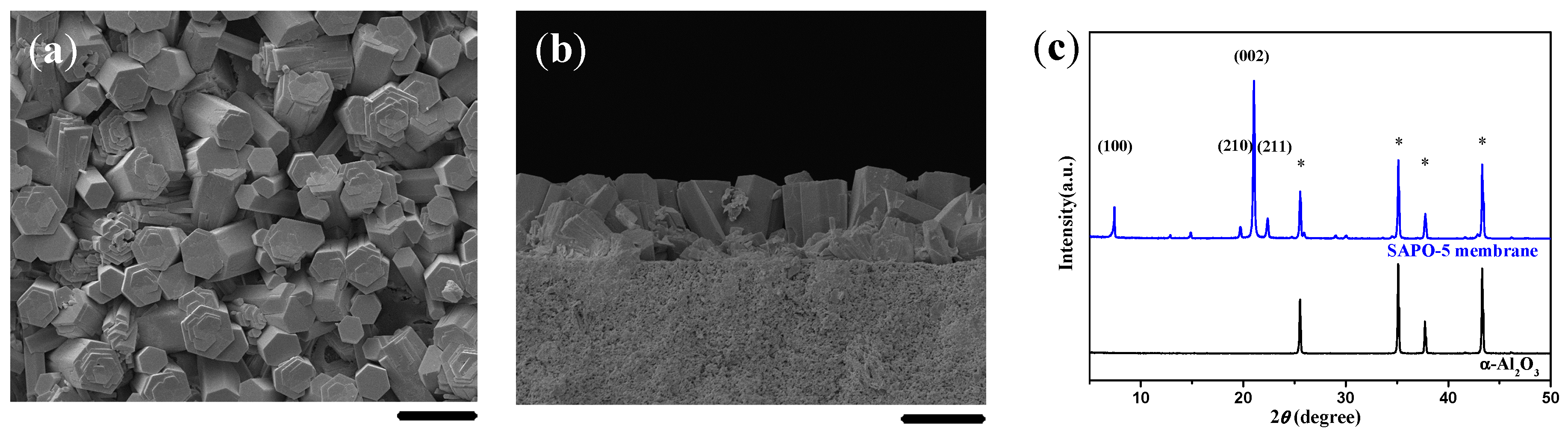 Molecules 23 01127 g002 Molecules 23 01127 g002