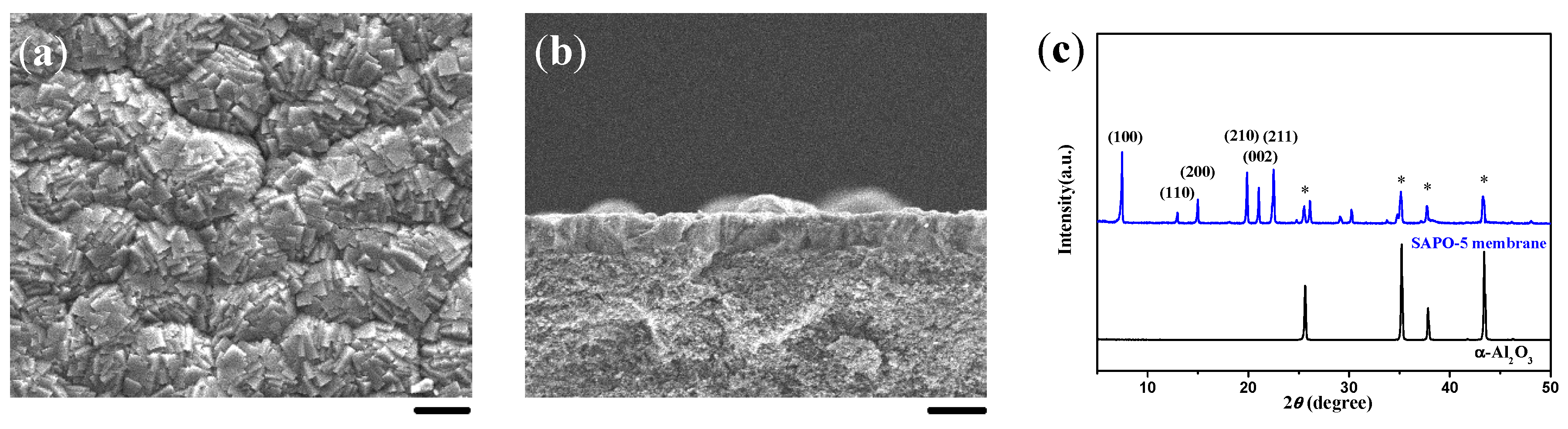 Molecules 23 01127 g007a Molecules 23 01127 g007a