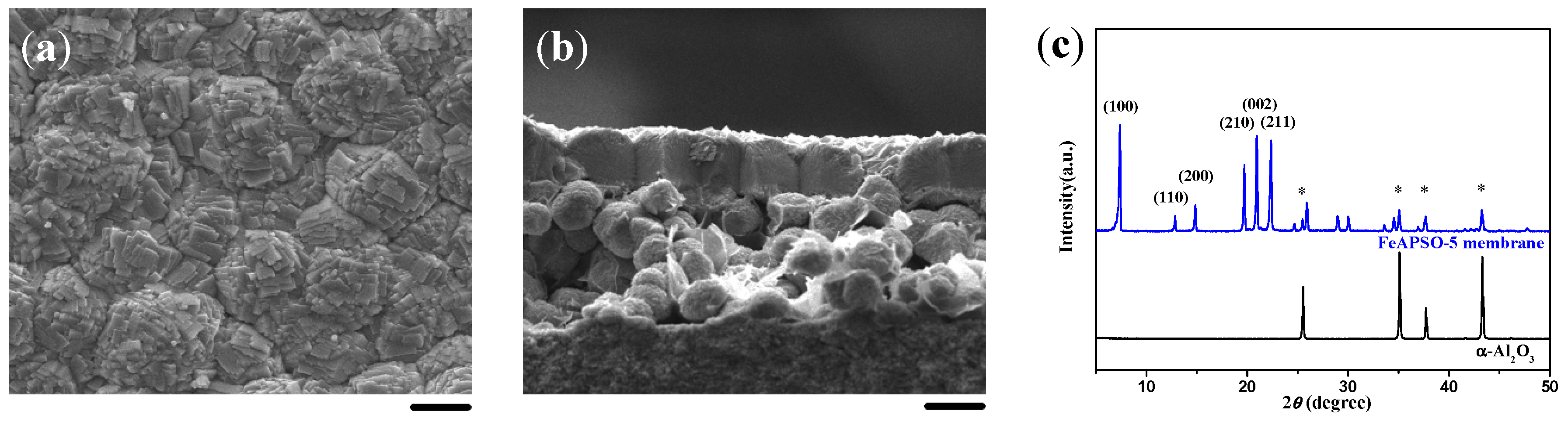 Molecules 23 01127 g009 Molecules 23 01127 g009