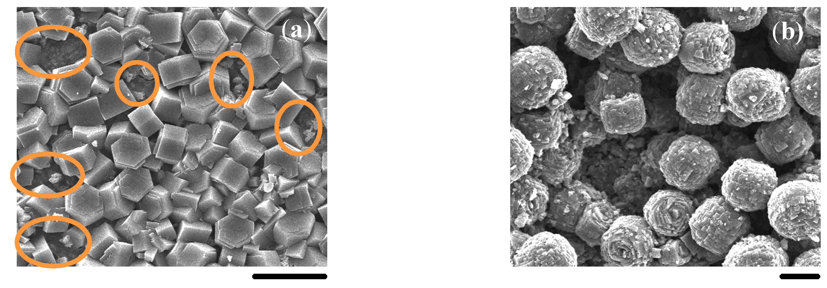 Molecules 23 01127 g011 Molecules 23 01127 g011
