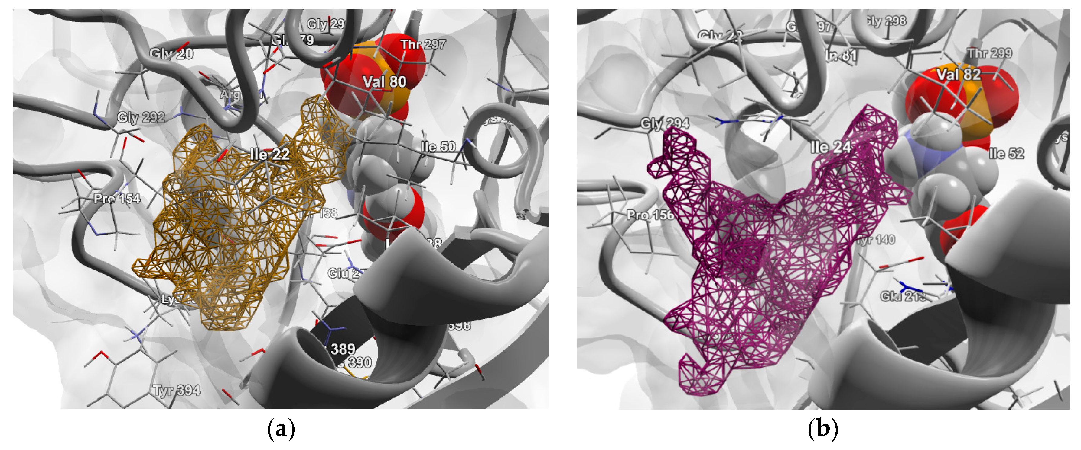 Molecules 23 01128 g006 Molecules 23 01128 g006