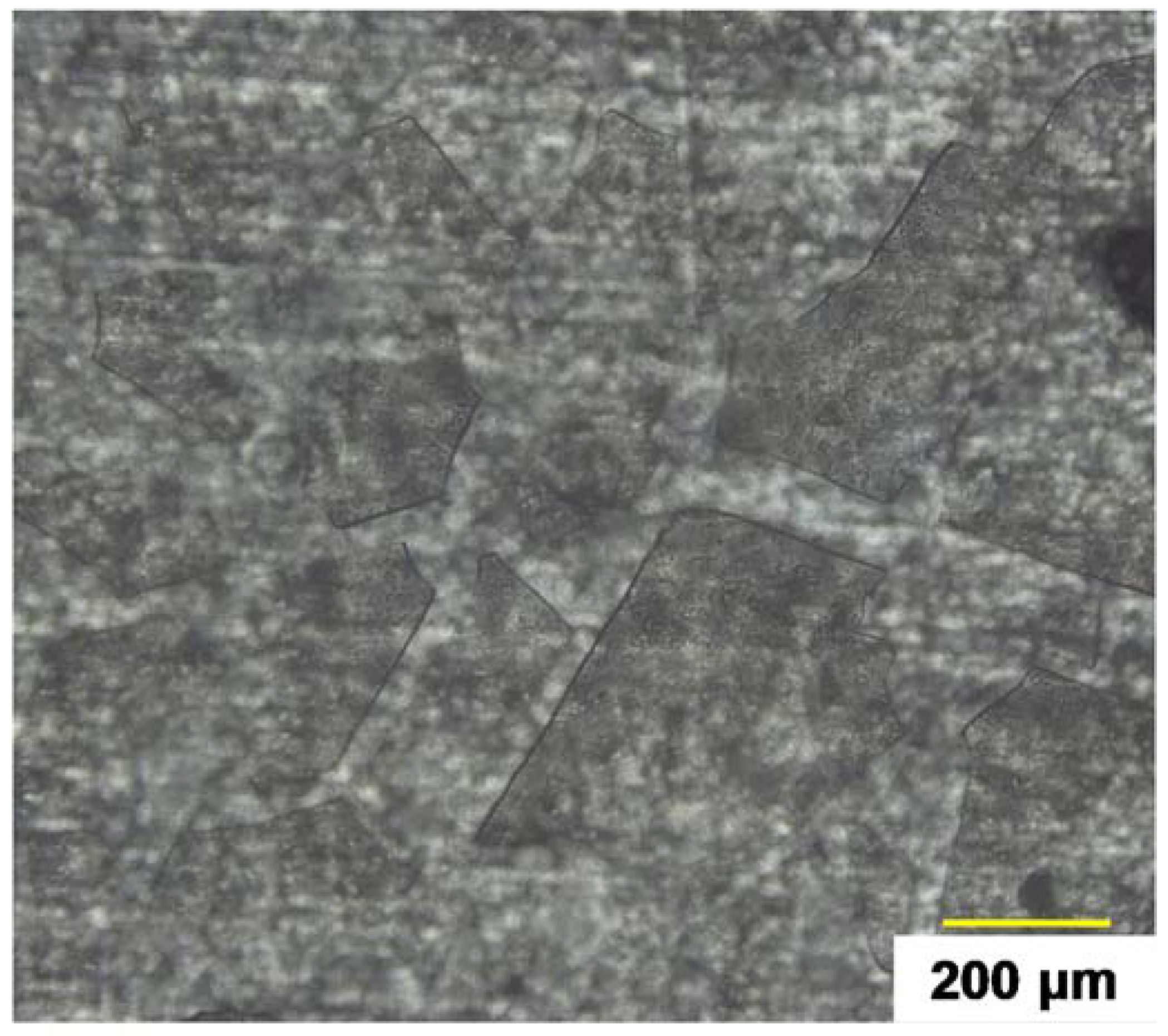 Molecules 23 01135 g013 Molecules 23 01135 g013