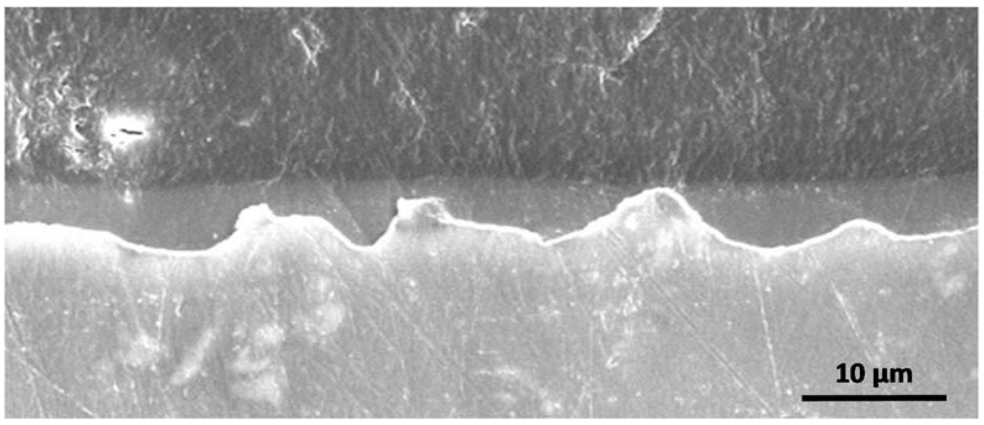 Molecules 23 01135 g015 Molecules 23 01135 g015