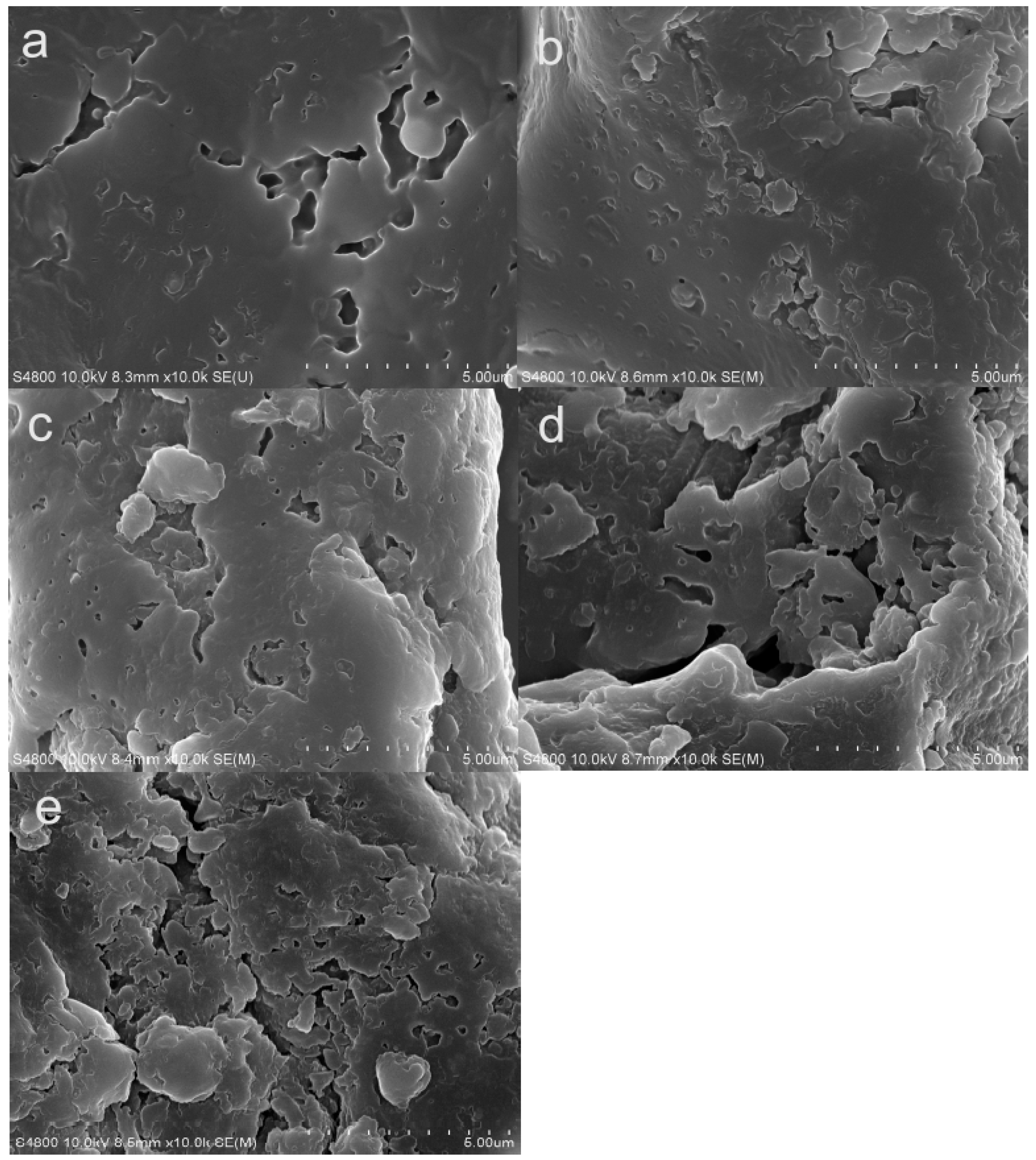 Molecules 23 01146 g004