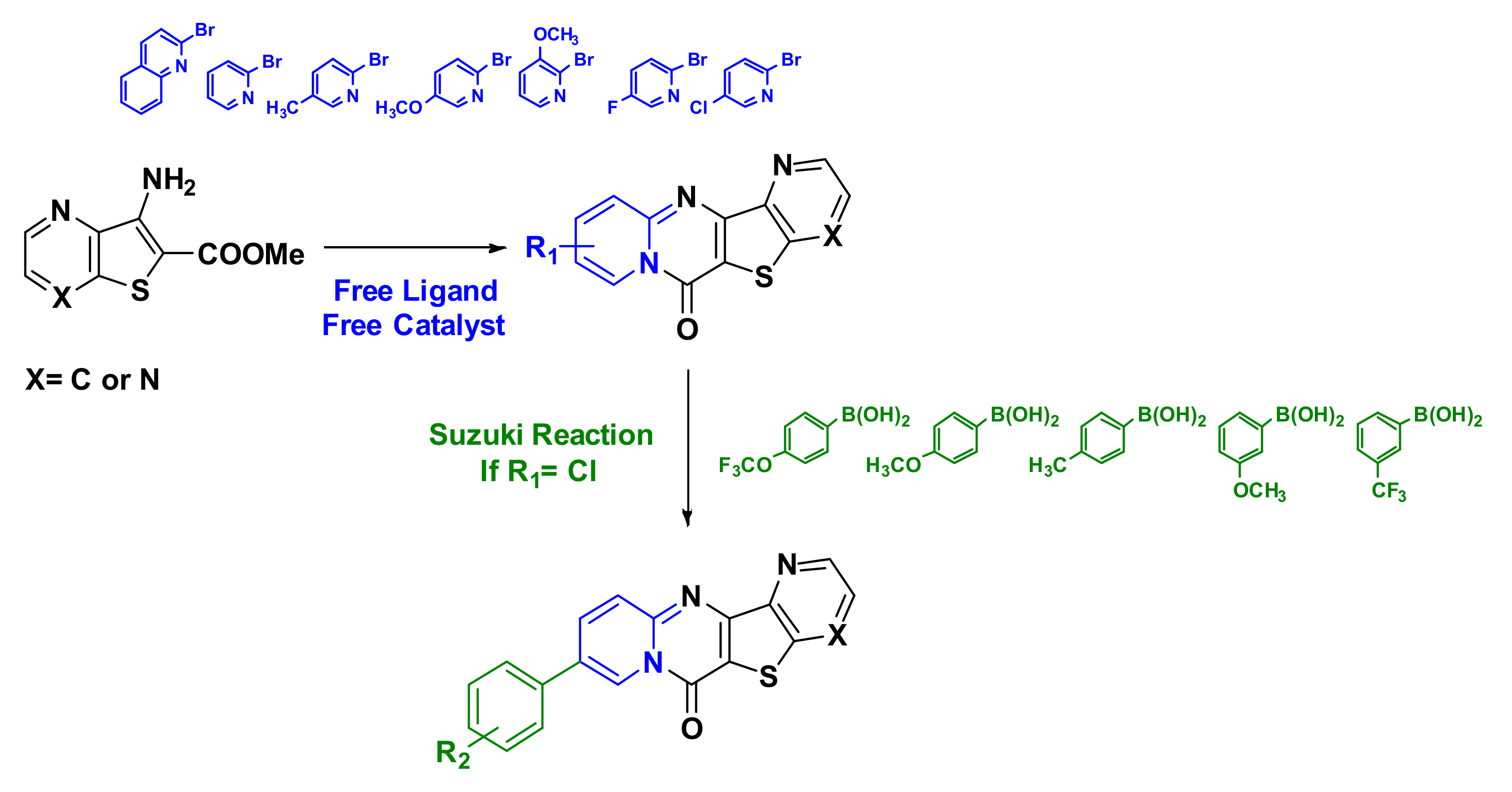 Molecules 23 01159 g001 Molecules 23 01159 g001