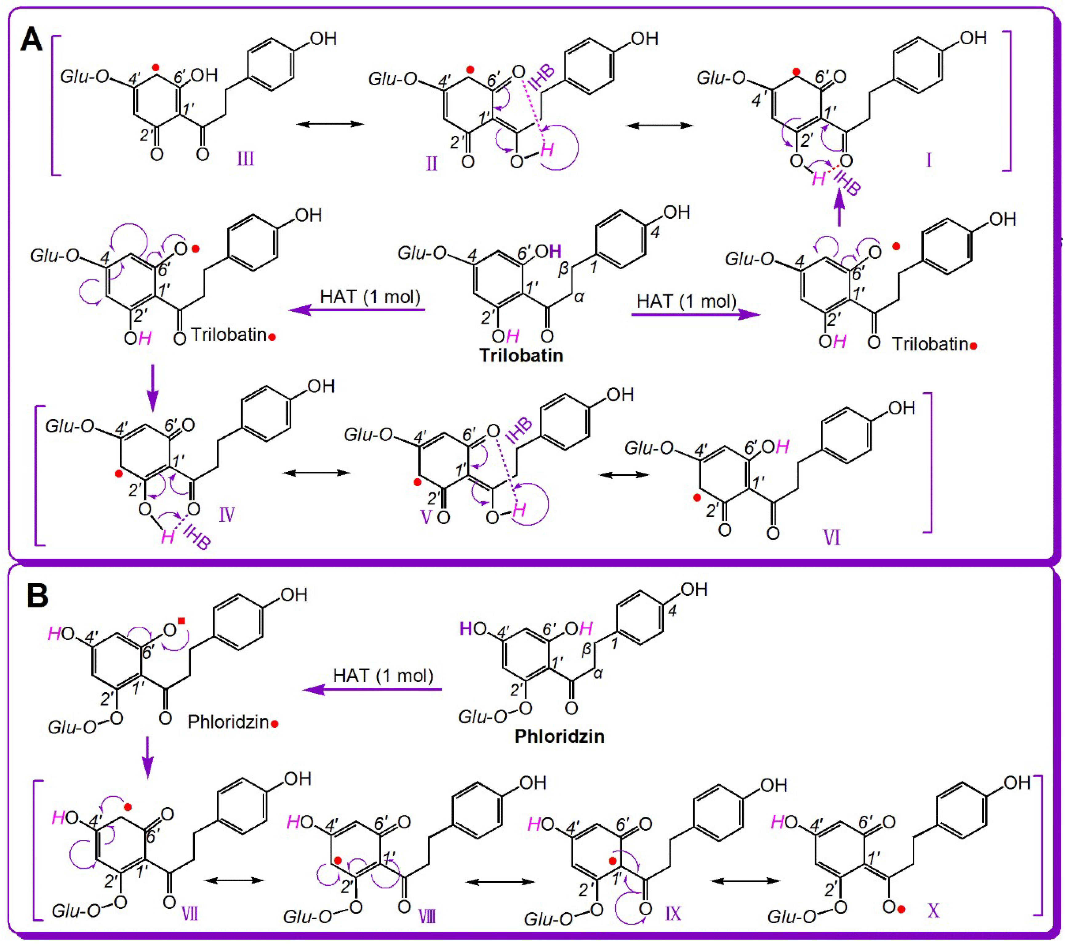 Molecules 23 01162 g005