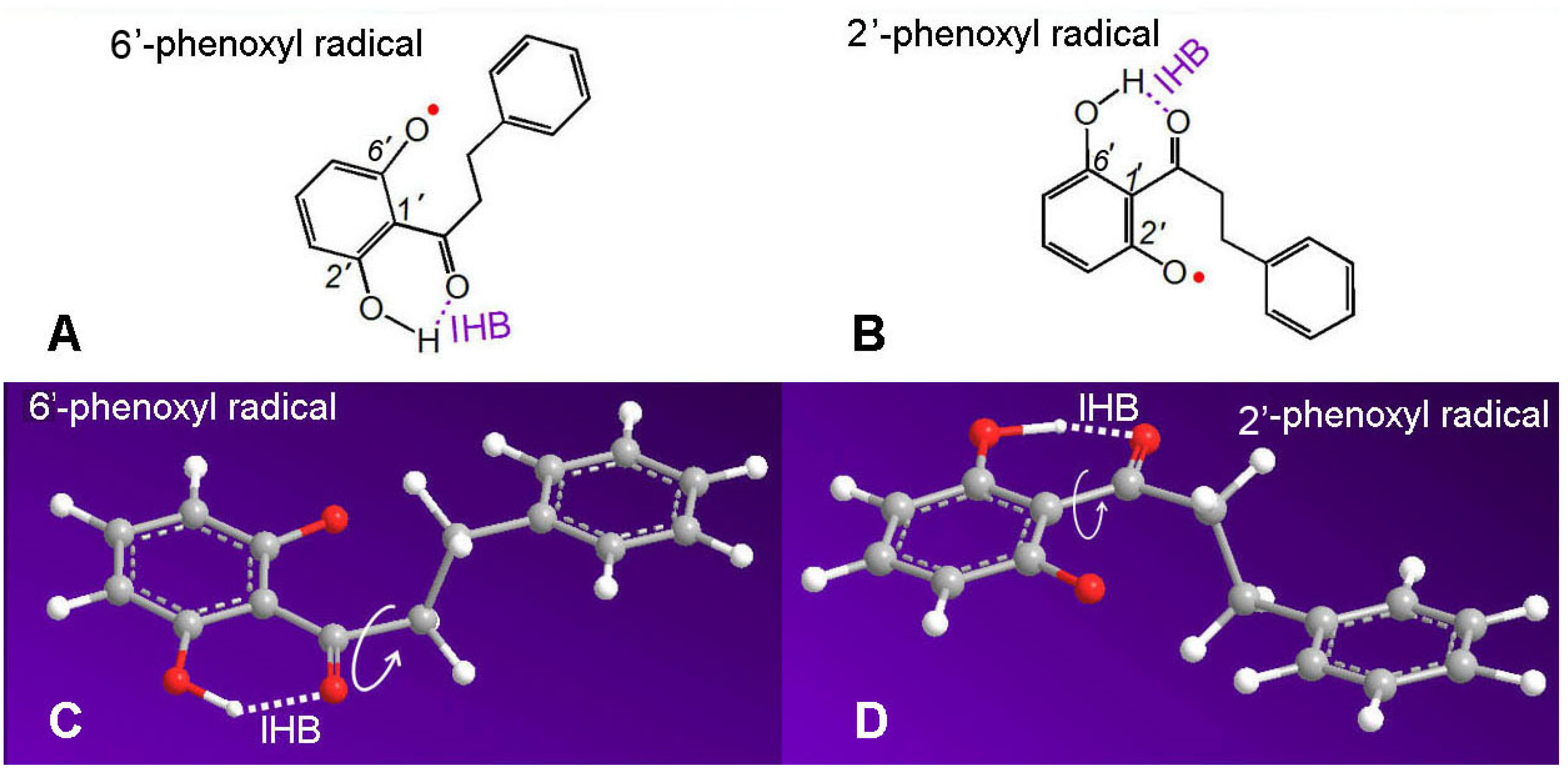 Molecules 23 01162 g006