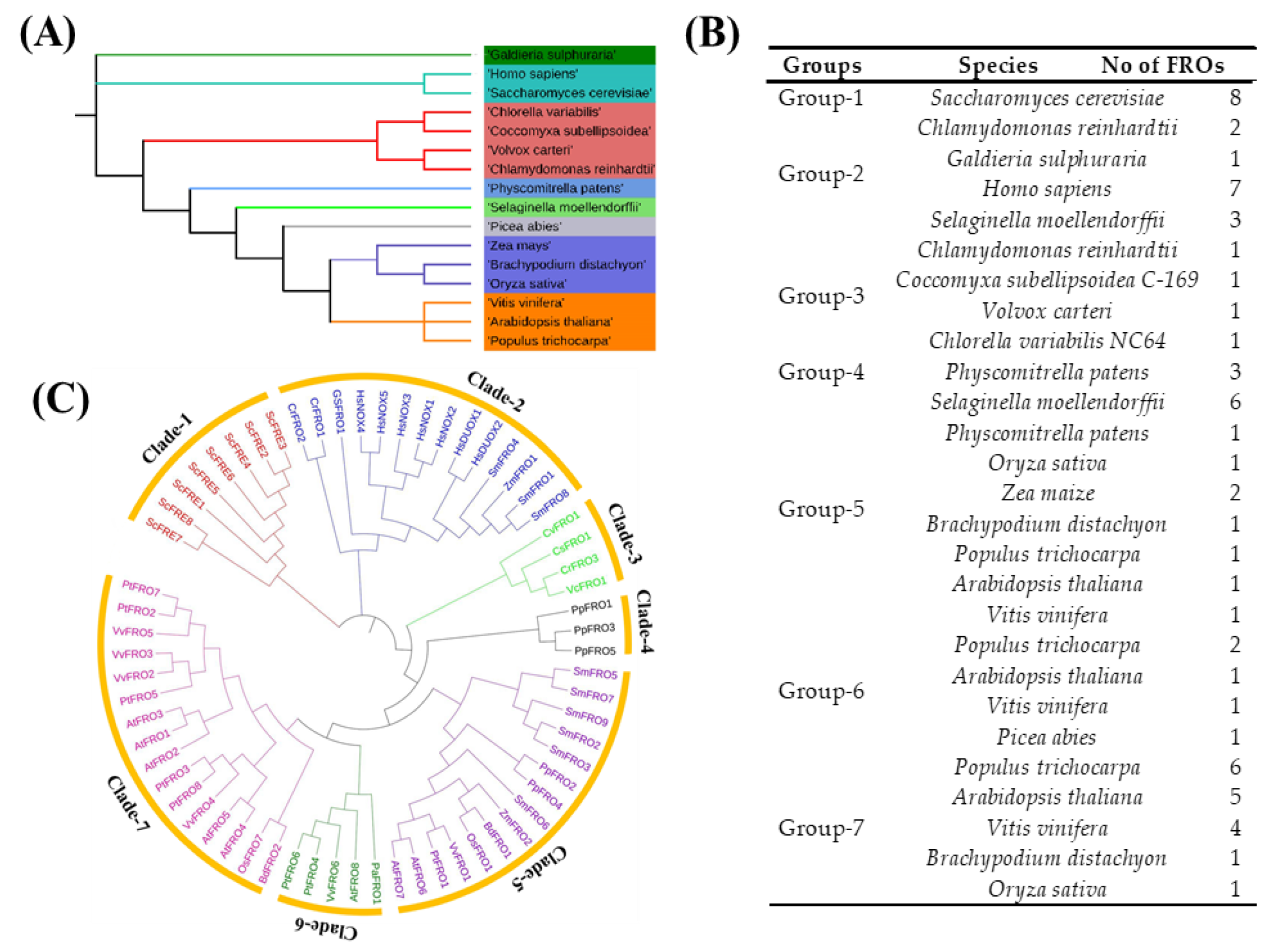 Molecules 23 01163 g001