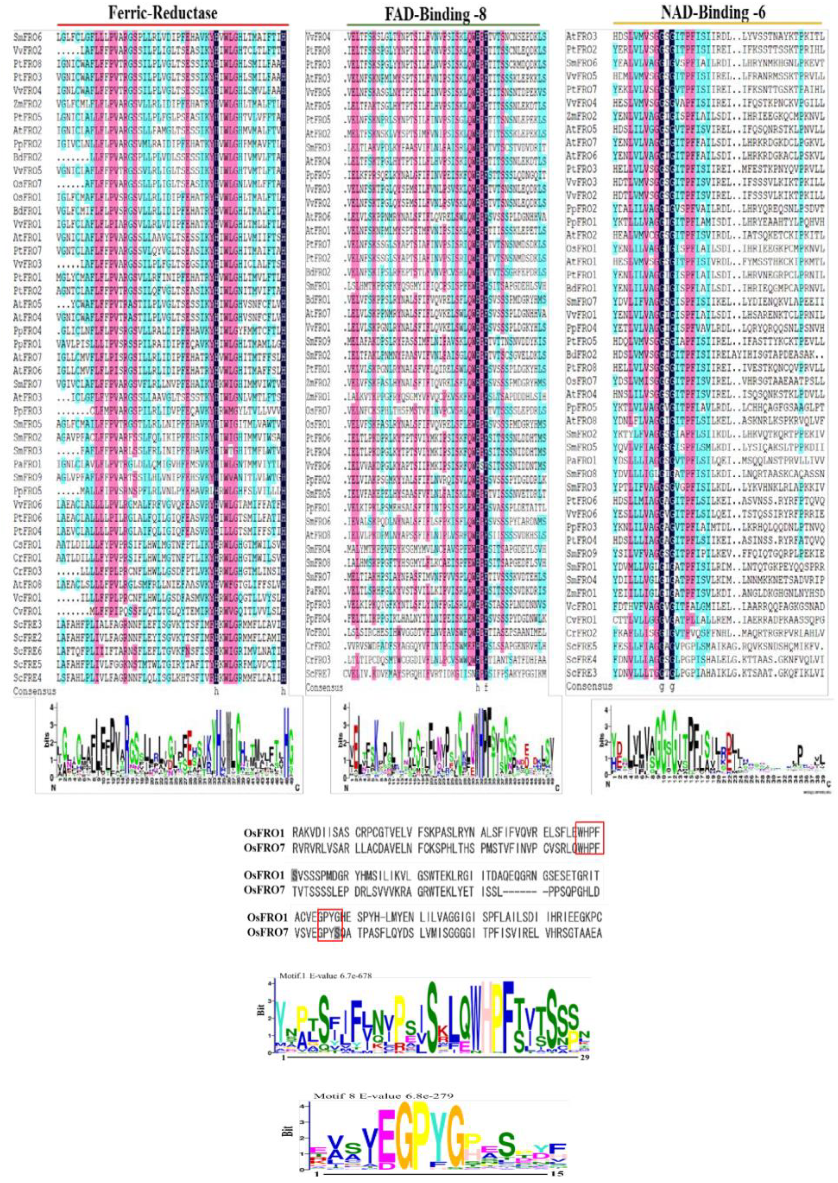 Molecules 23 01163 g002