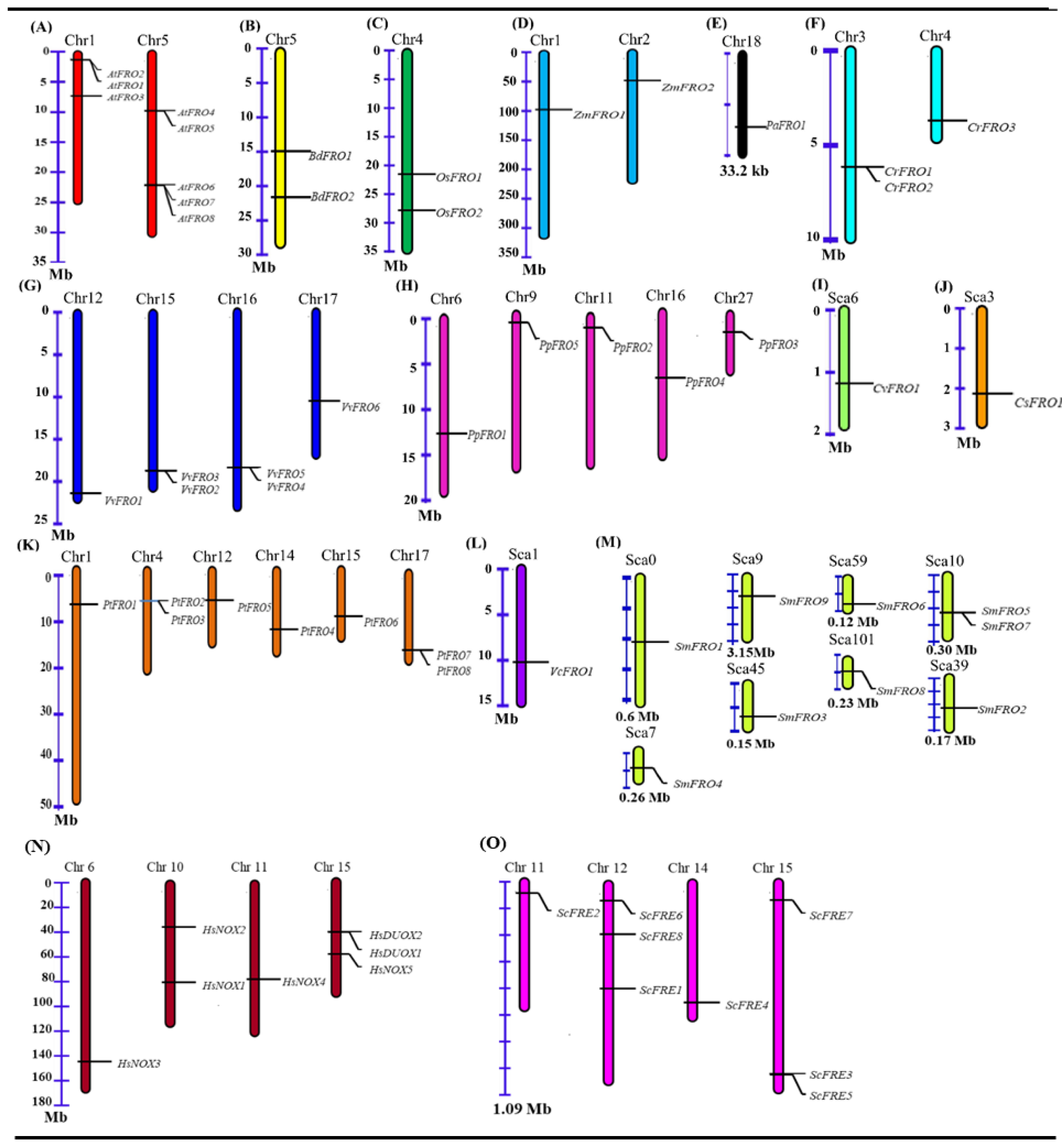 Molecules 23 01163 g003