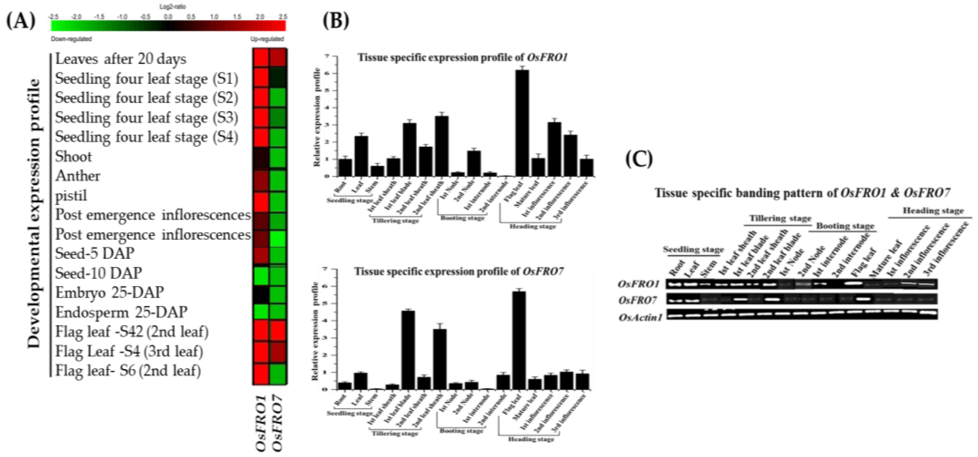 Molecules 23 01163 g004