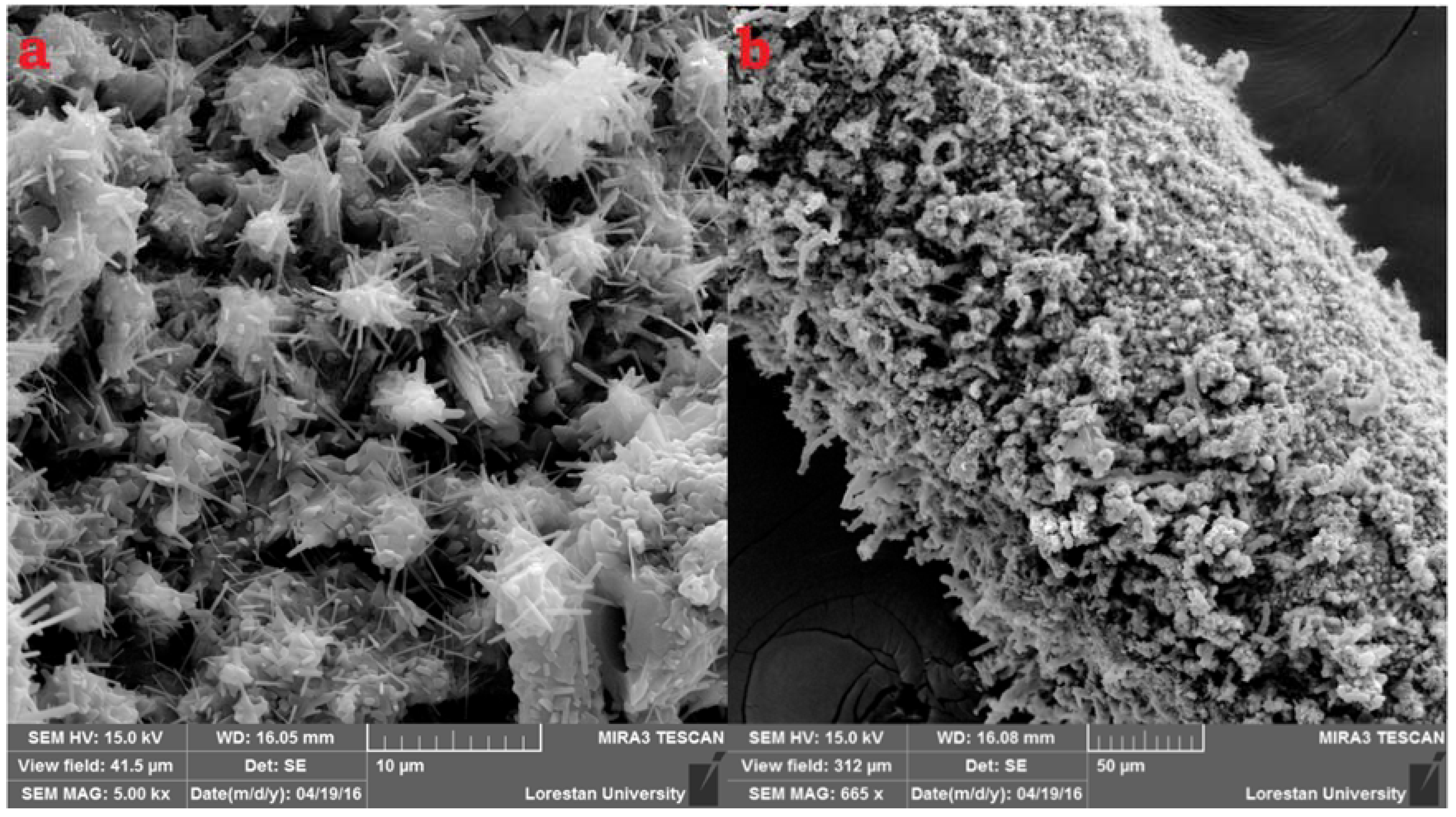 Molecules 23 01171 g001