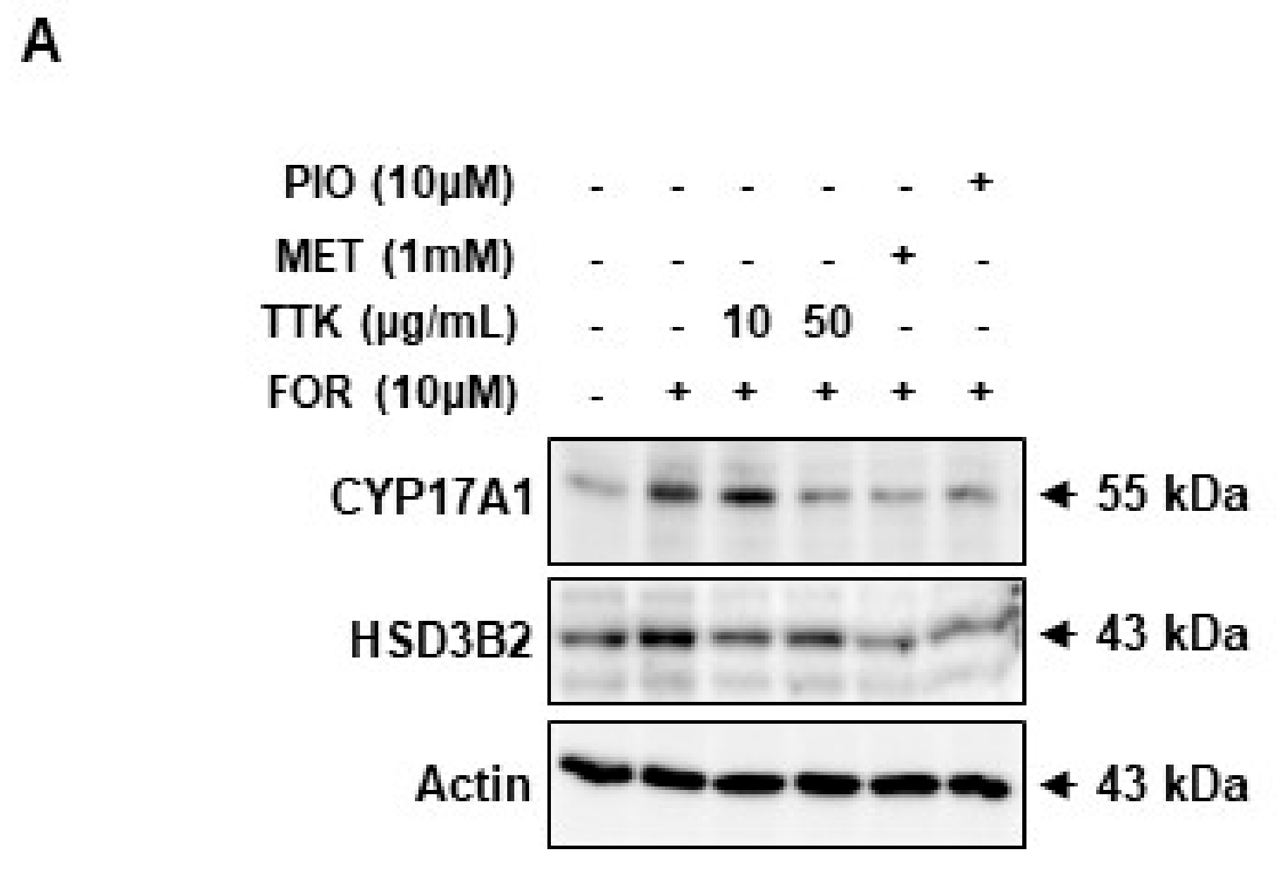 Molecules 23 01173 g006a