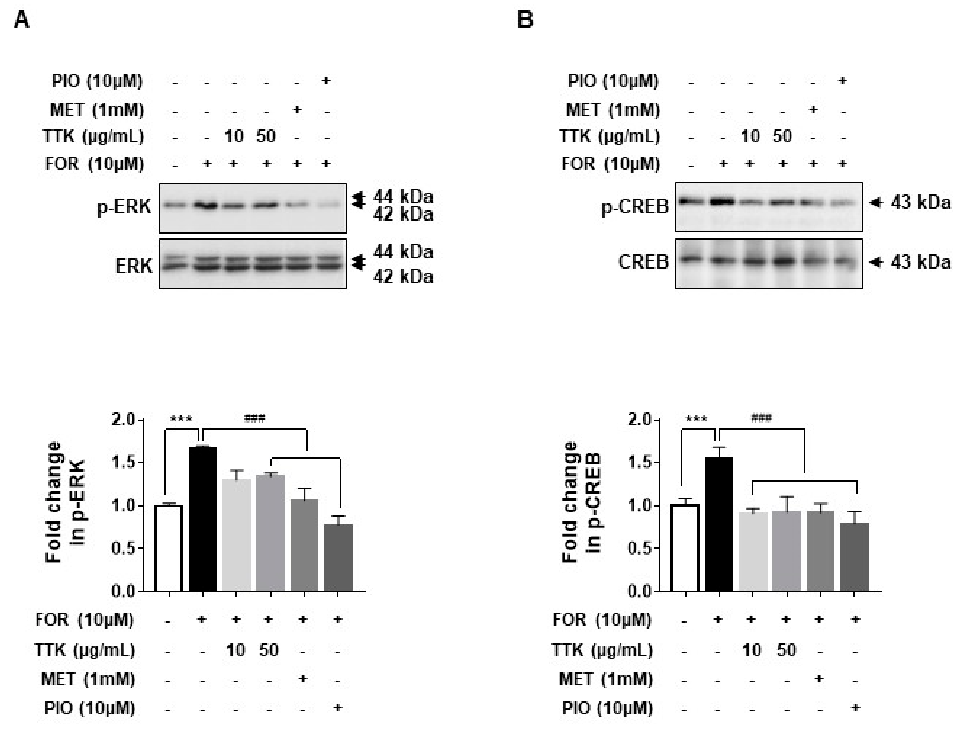 Molecules 23 01173 g007