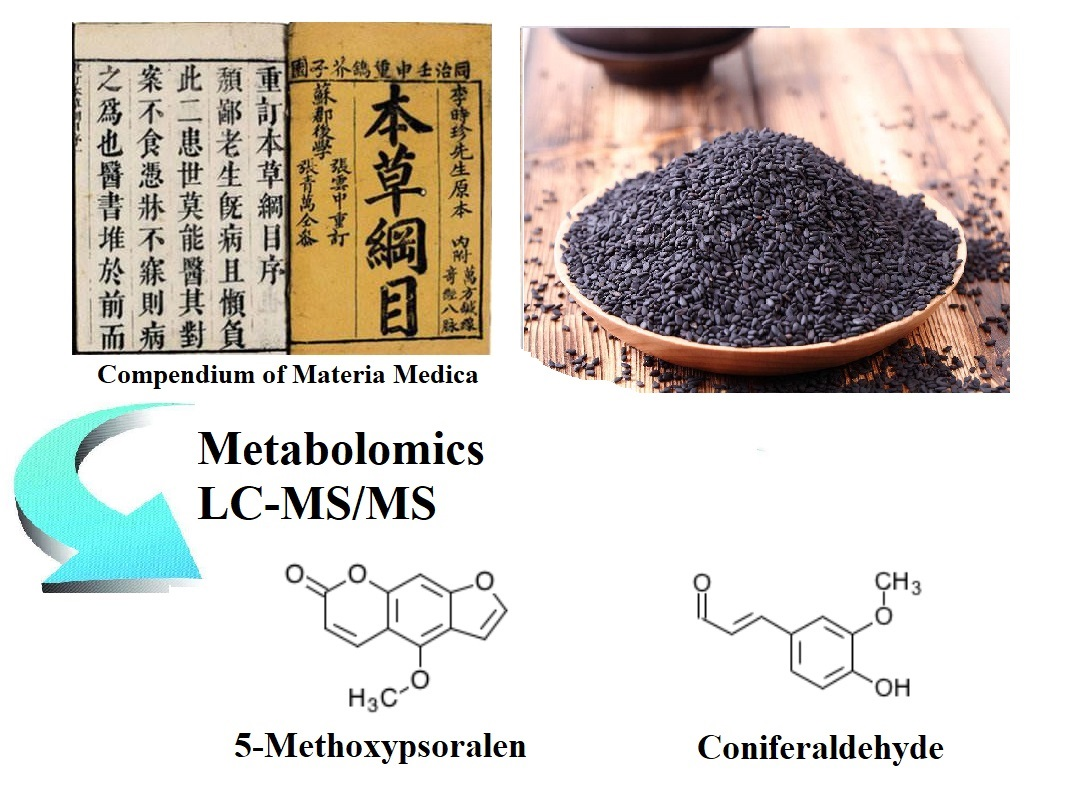 Molecules Free Full Text Identification Of Nutritional Components In Black Sesame Determined By Widely Targeted Metabolomics And Traditional Chinese Medicines Html