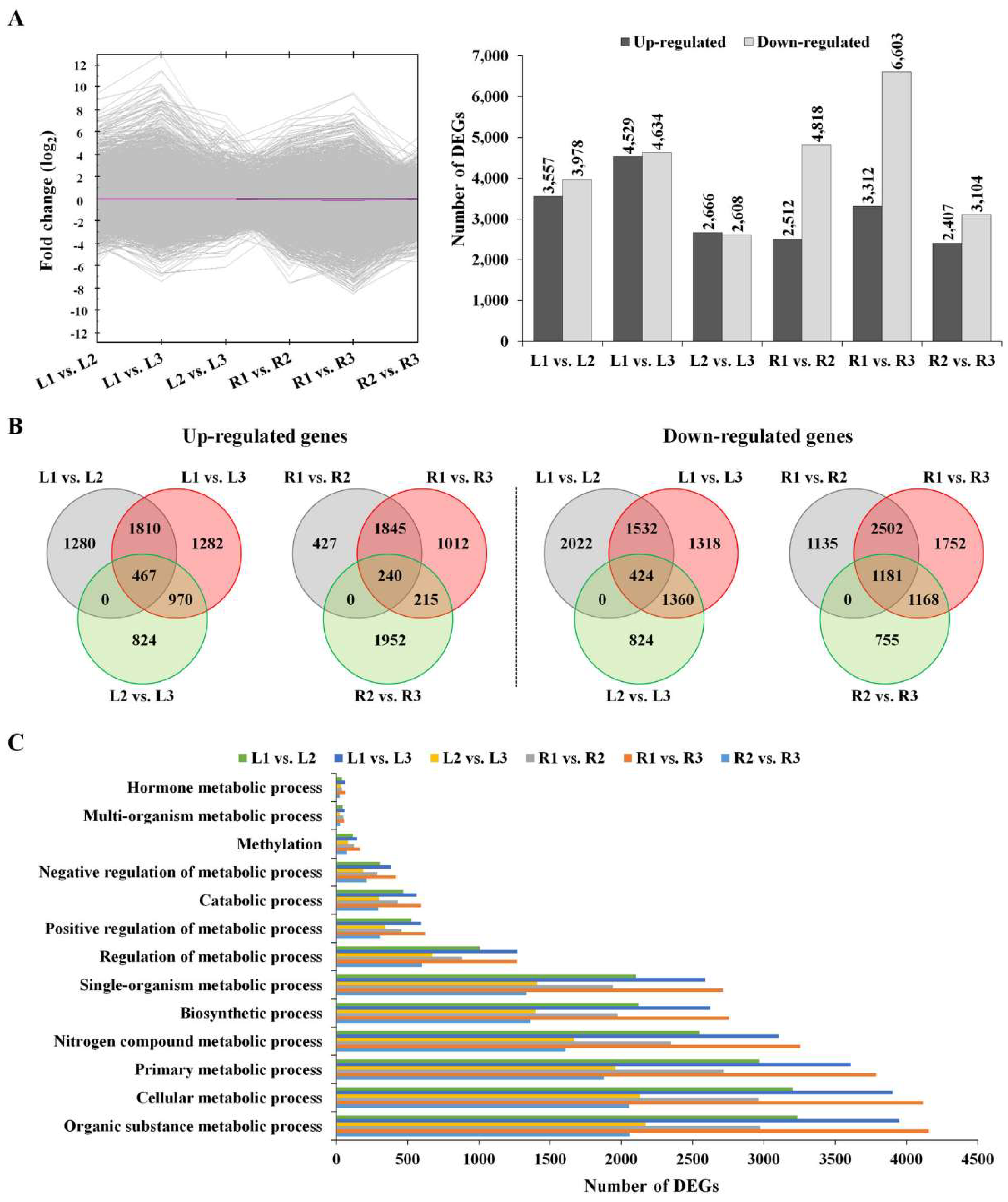 Molecules 23 01186 g002 Molecules 23 01186 g002