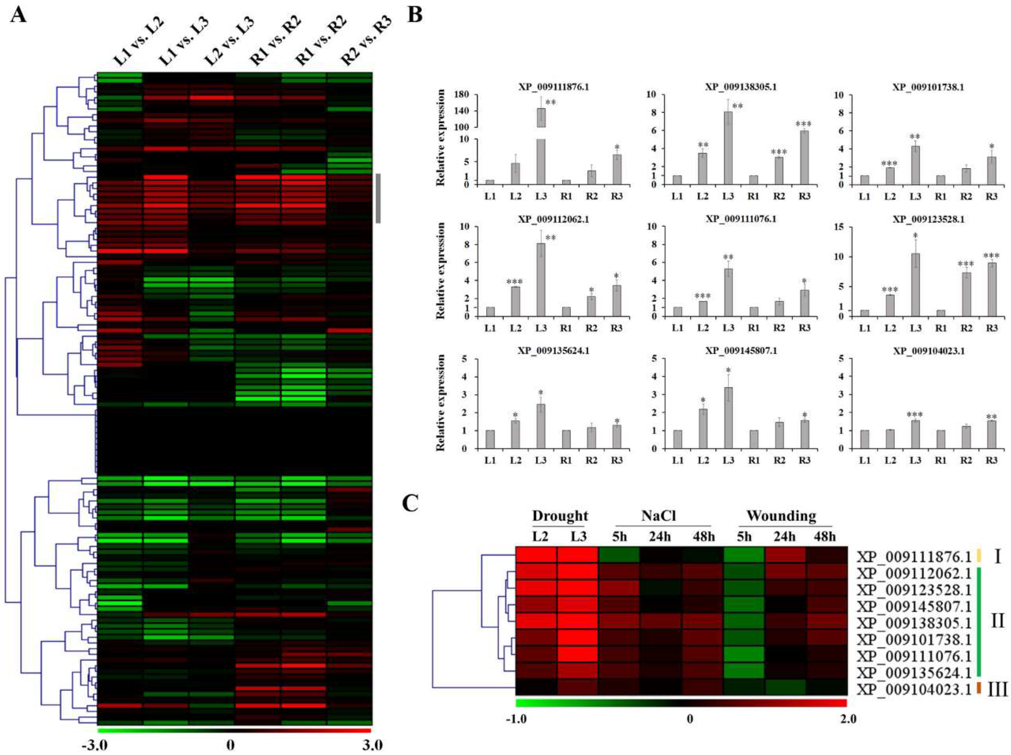 Molecules 23 01186 g003 Molecules 23 01186 g003