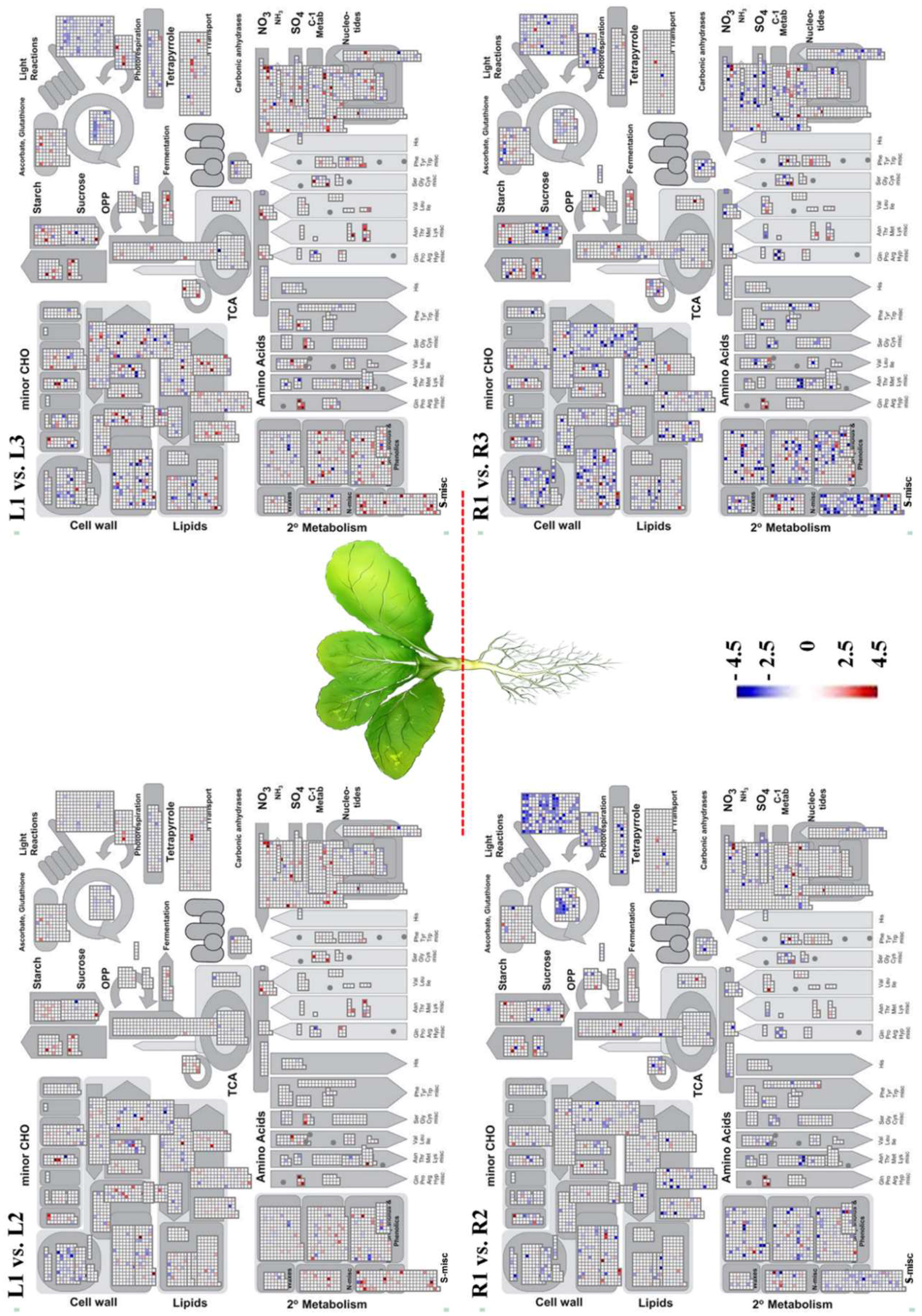 Molecules 23 01186 g004 Molecules 23 01186 g004