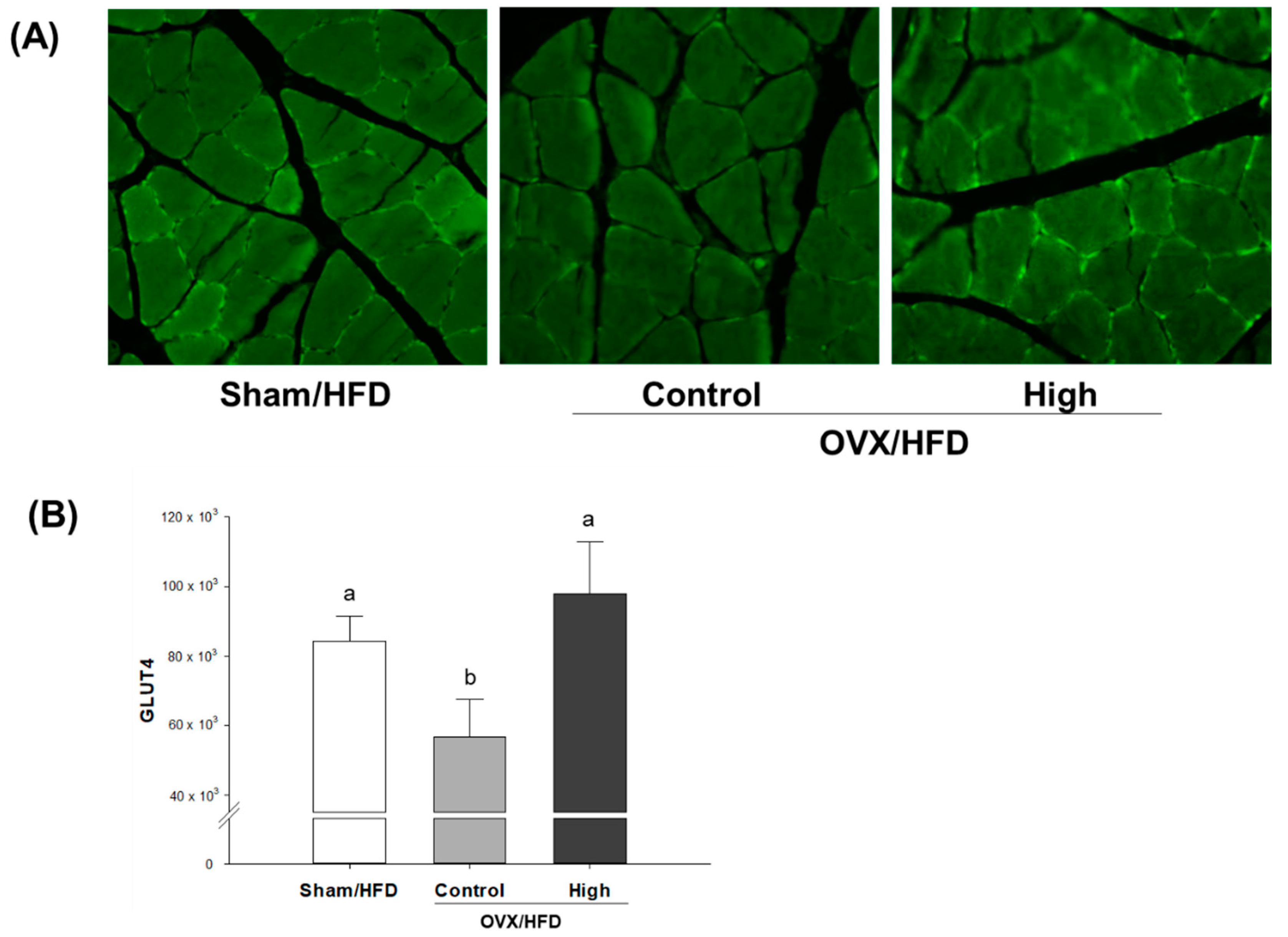 Molecules 23 01205 g001