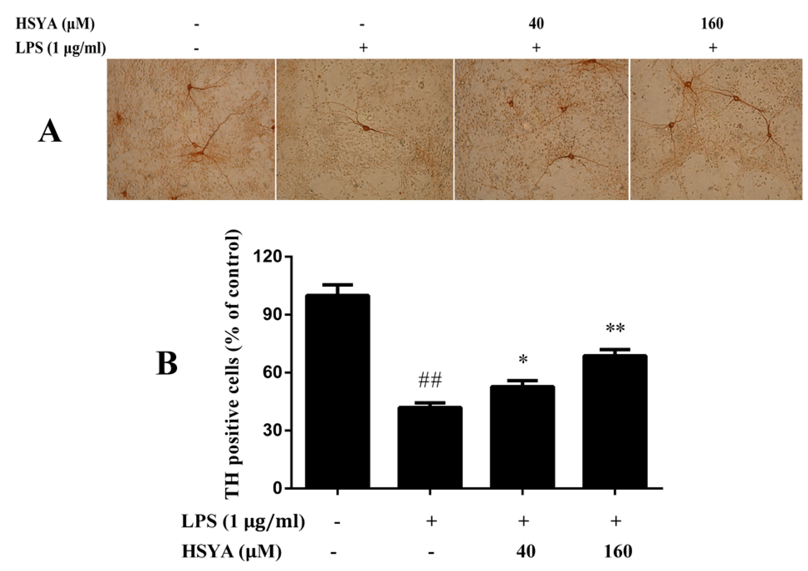 Molecules 23 01210 g003