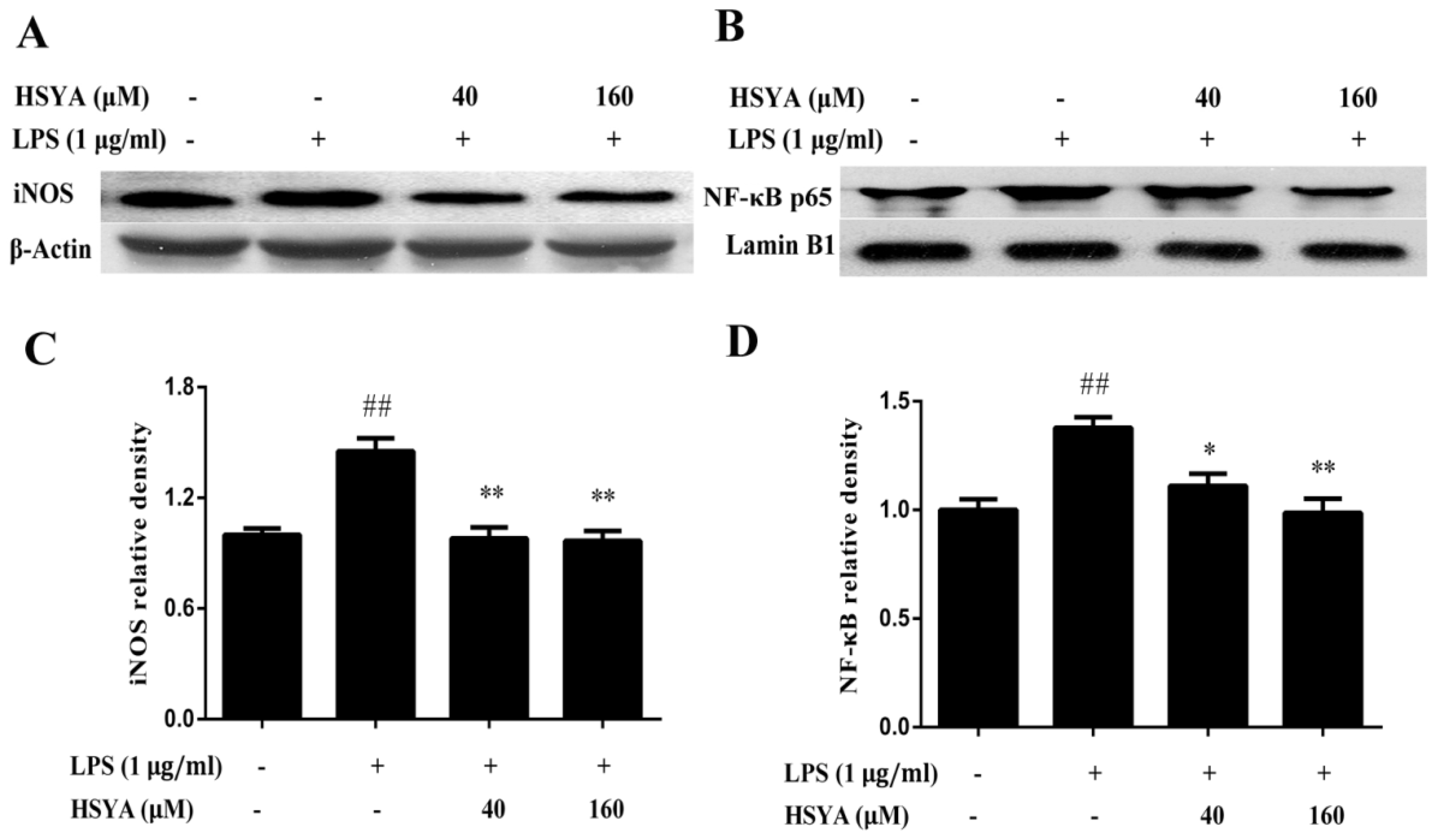 Molecules 23 01210 g004