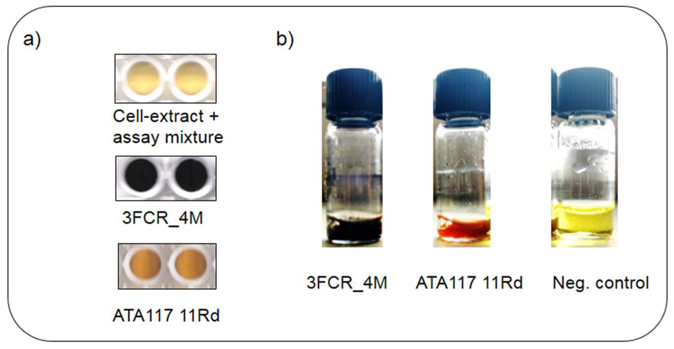 Molecules 23 01211 g001