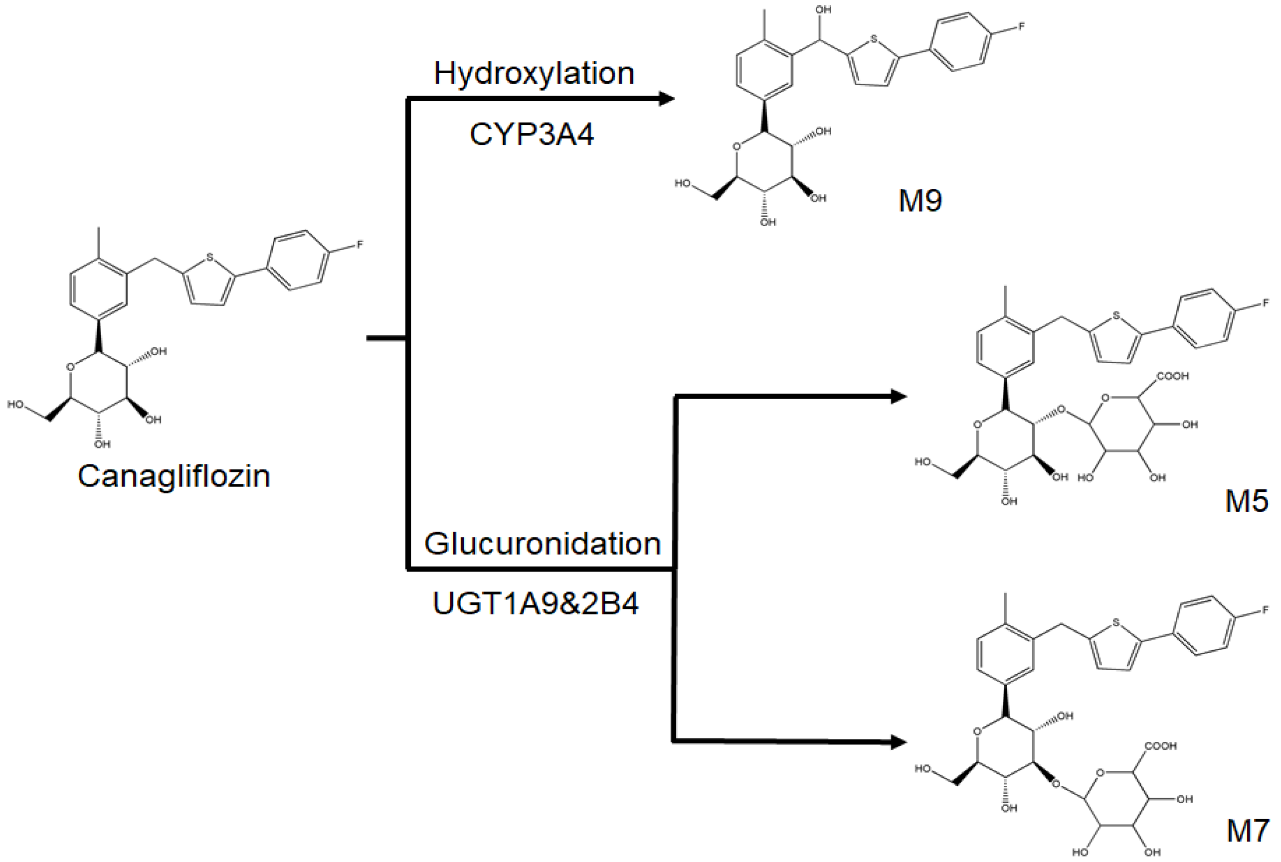 Molecules 23 01229 g001