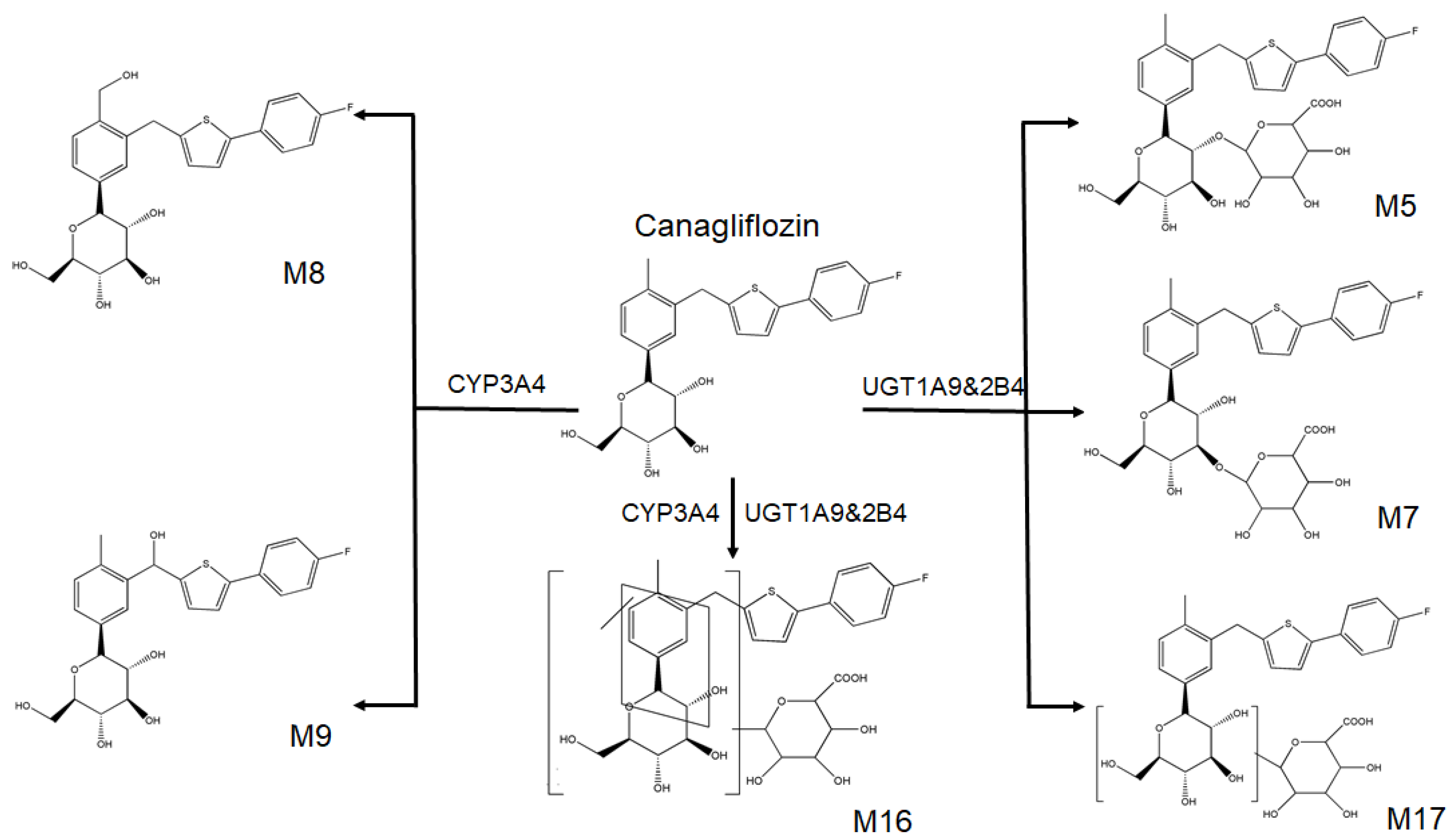 Molecules 23 01229 g003