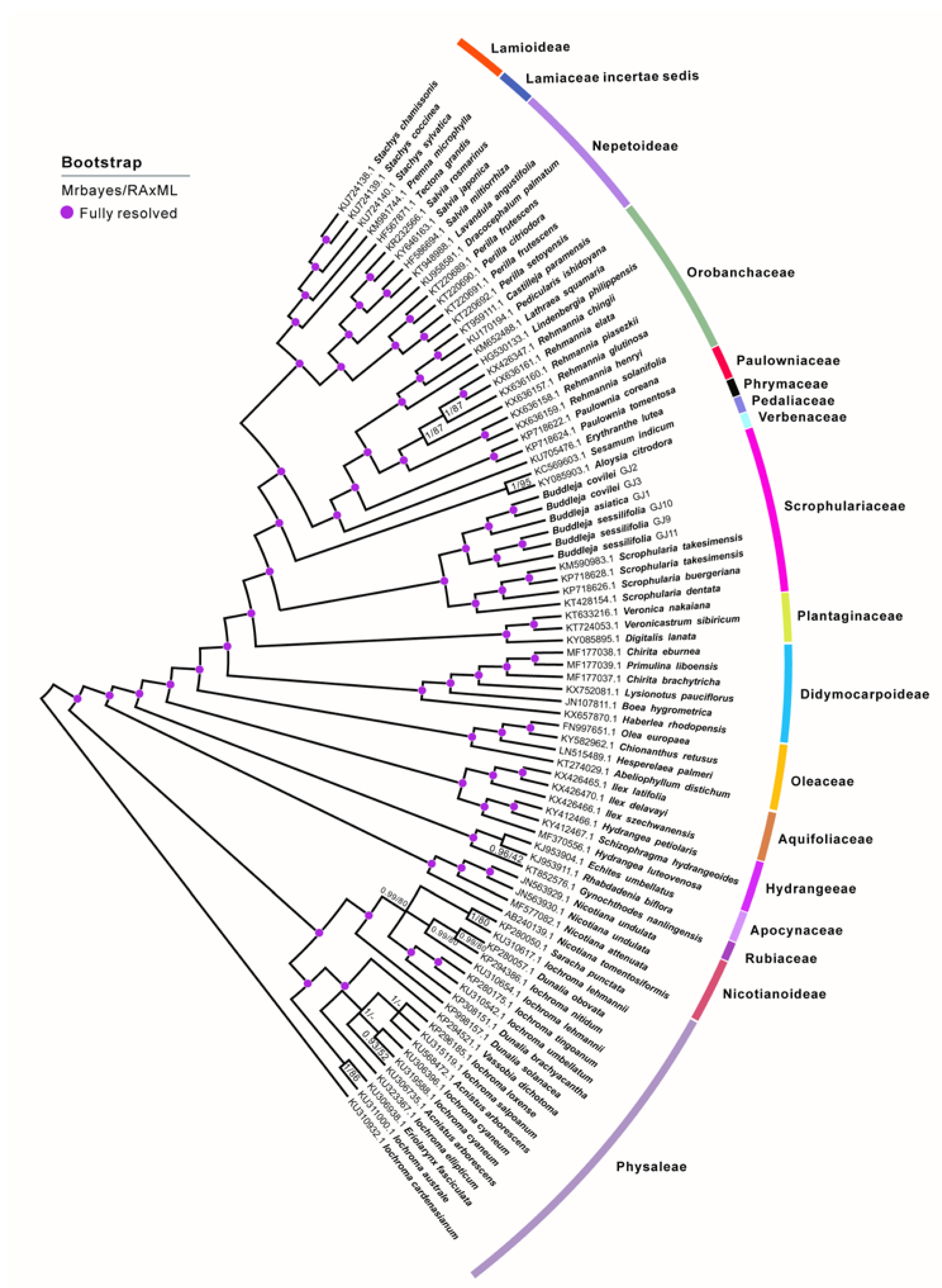 Molecules 23 01248 g002