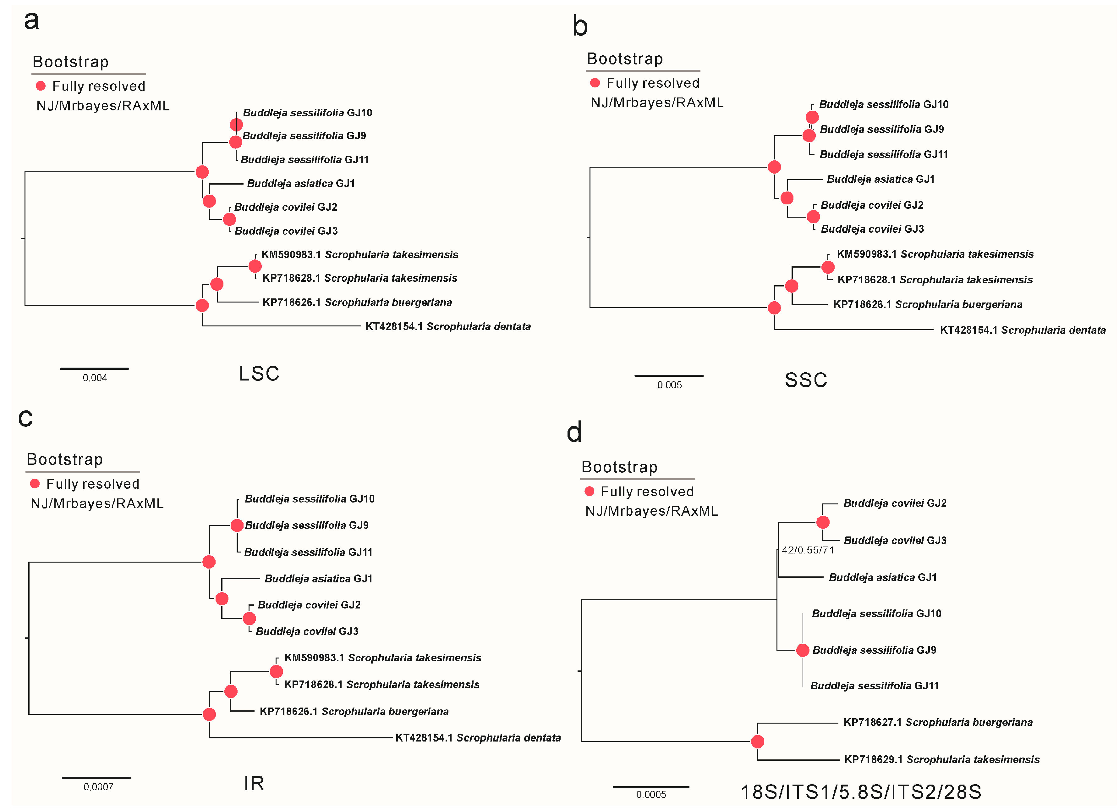 Molecules 23 01248 g003