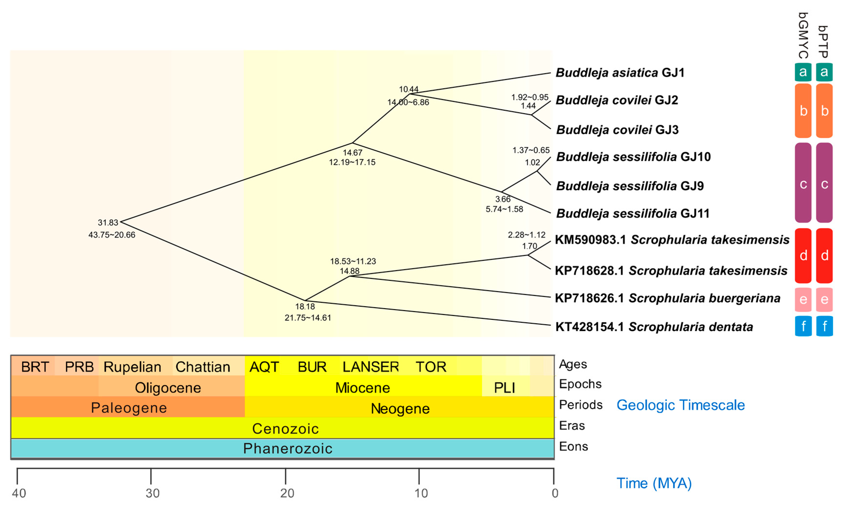 Molecules 23 01248 g004