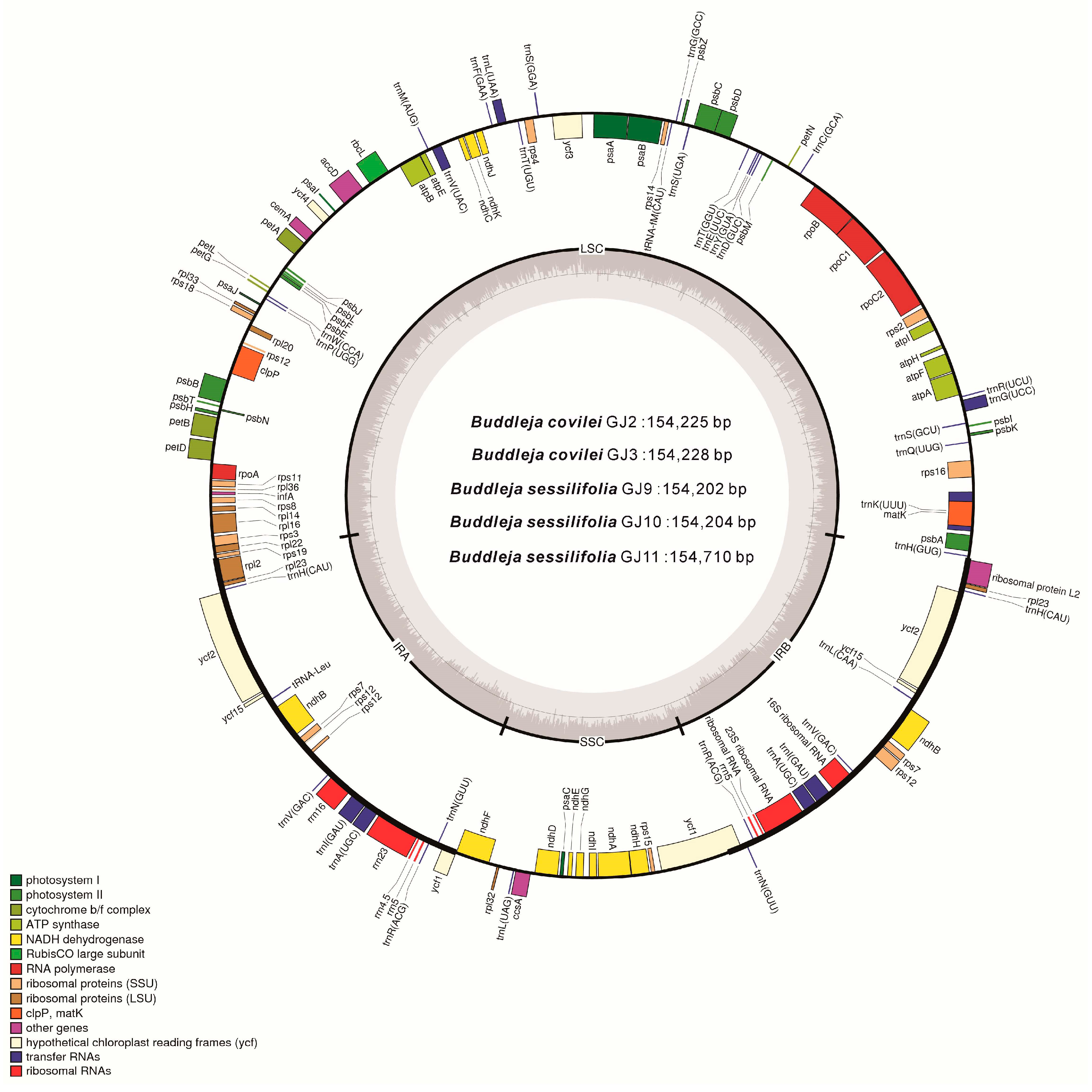 Molecules 23 01248 g005