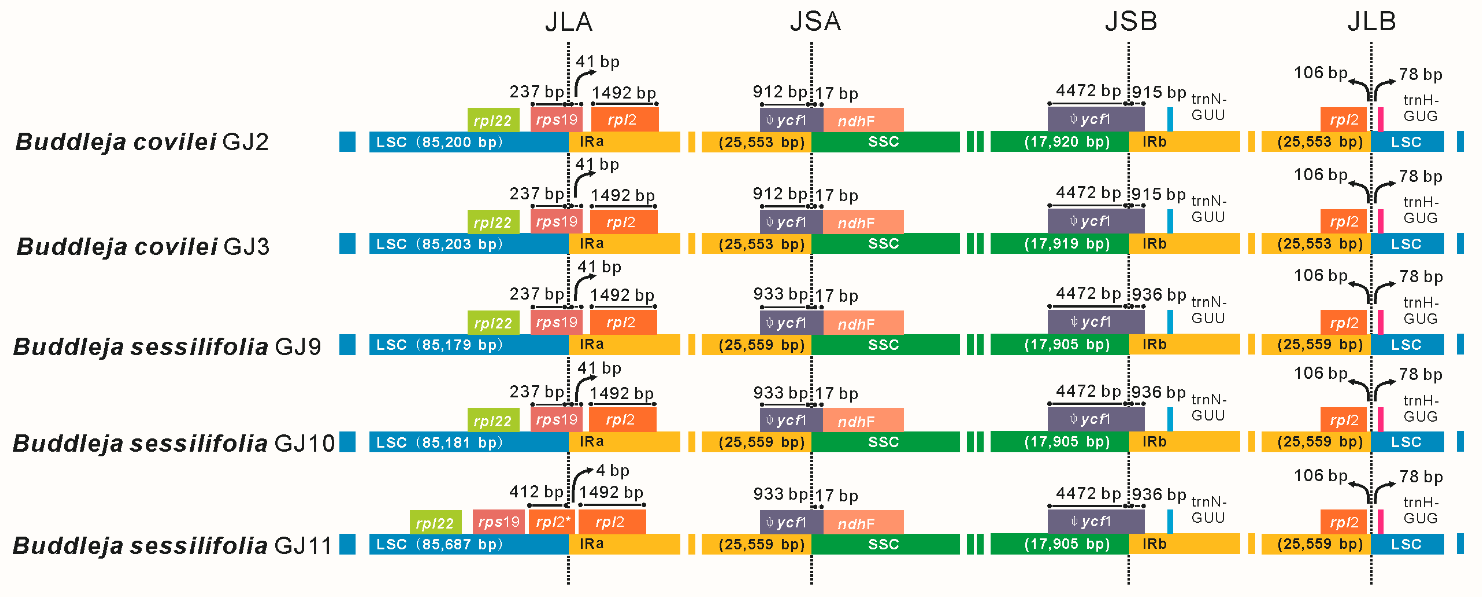 Molecules 23 01248 g007