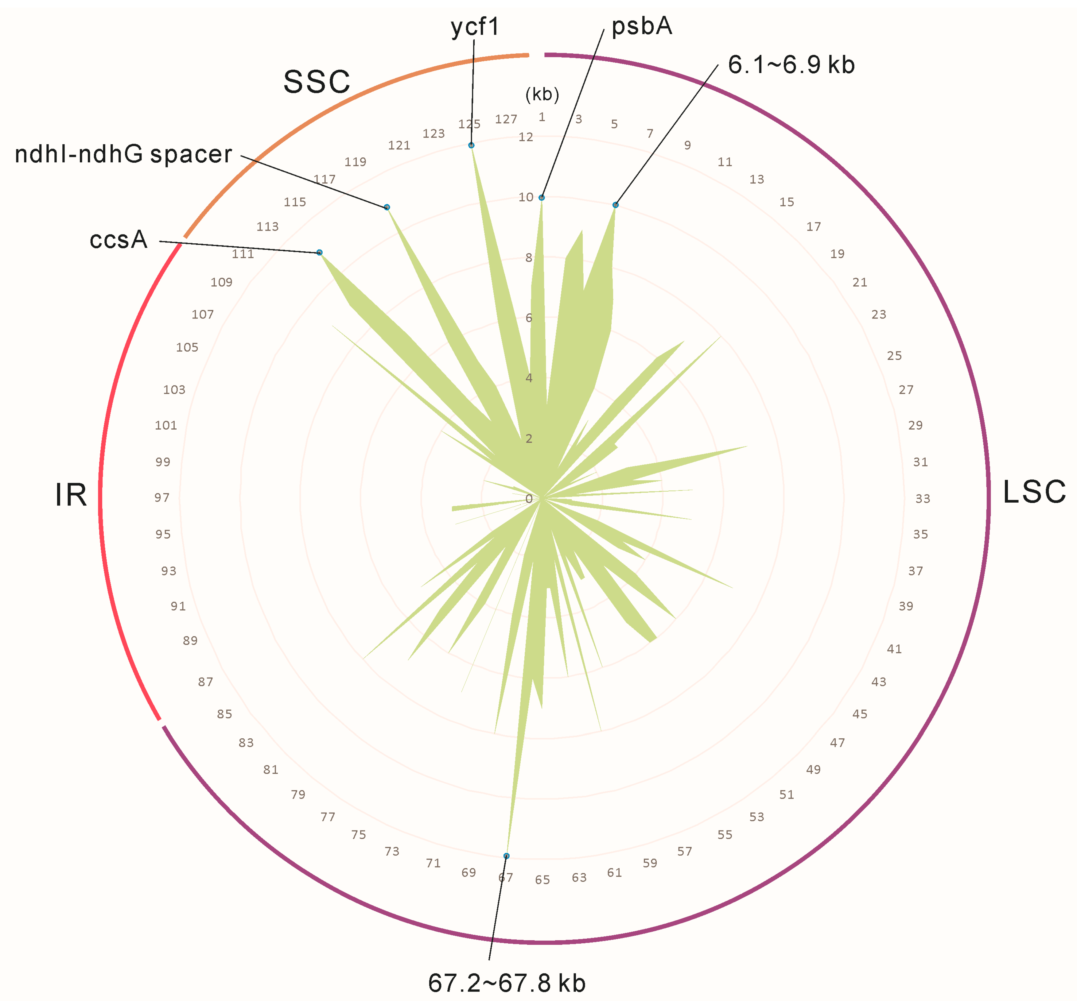 Molecules 23 01248 g008