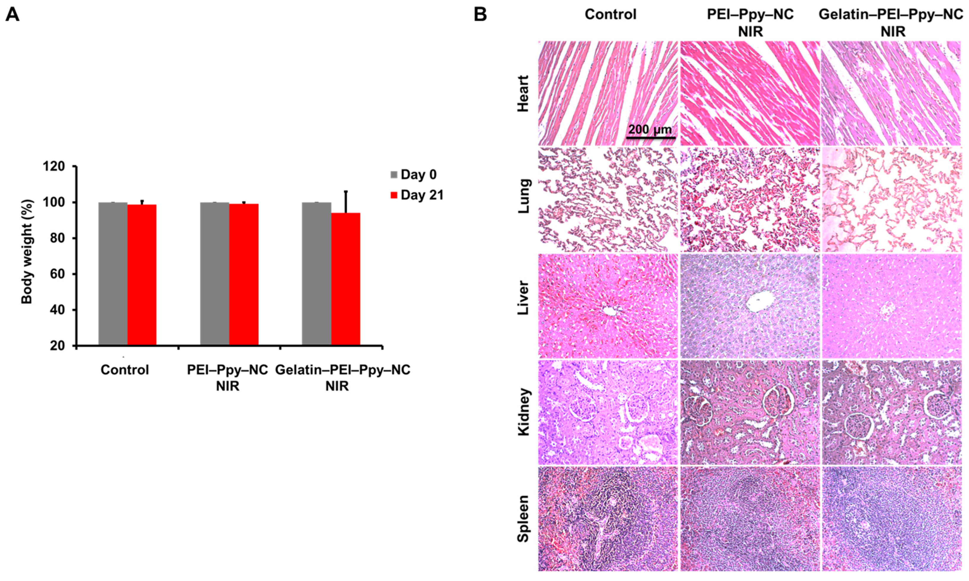 Molecules 23 01256 g010