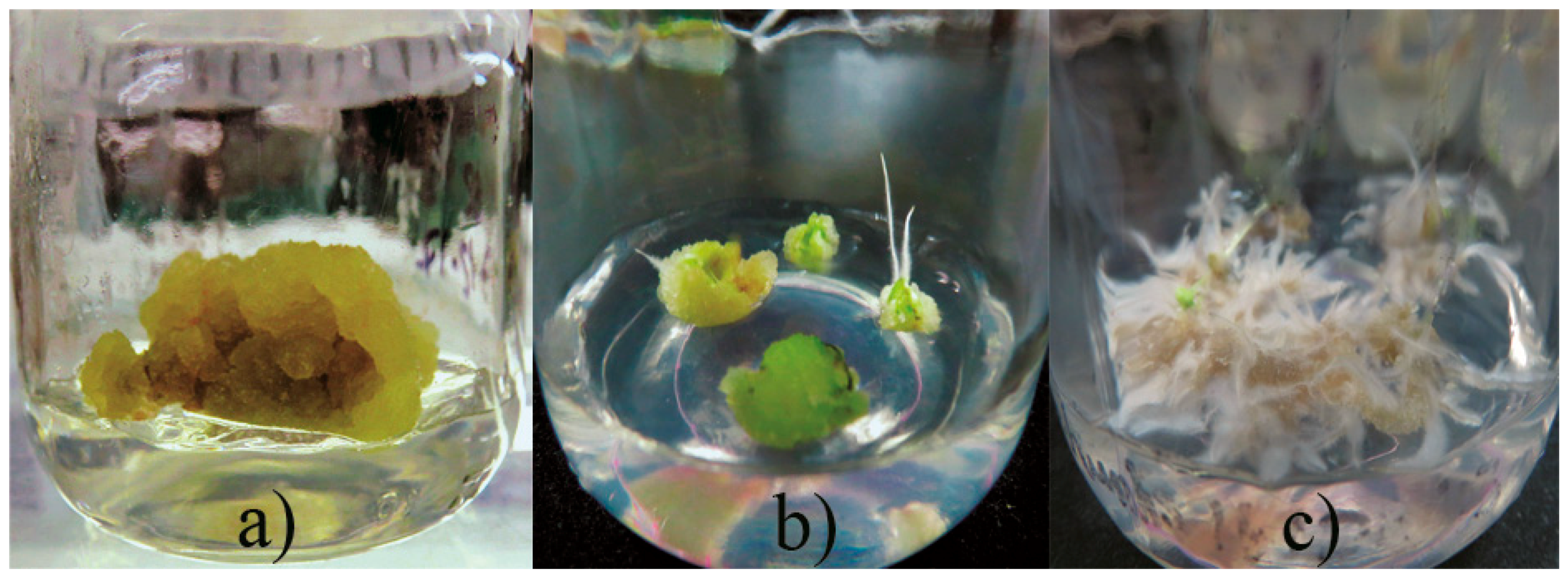 Molecules 23 01258 g001 550