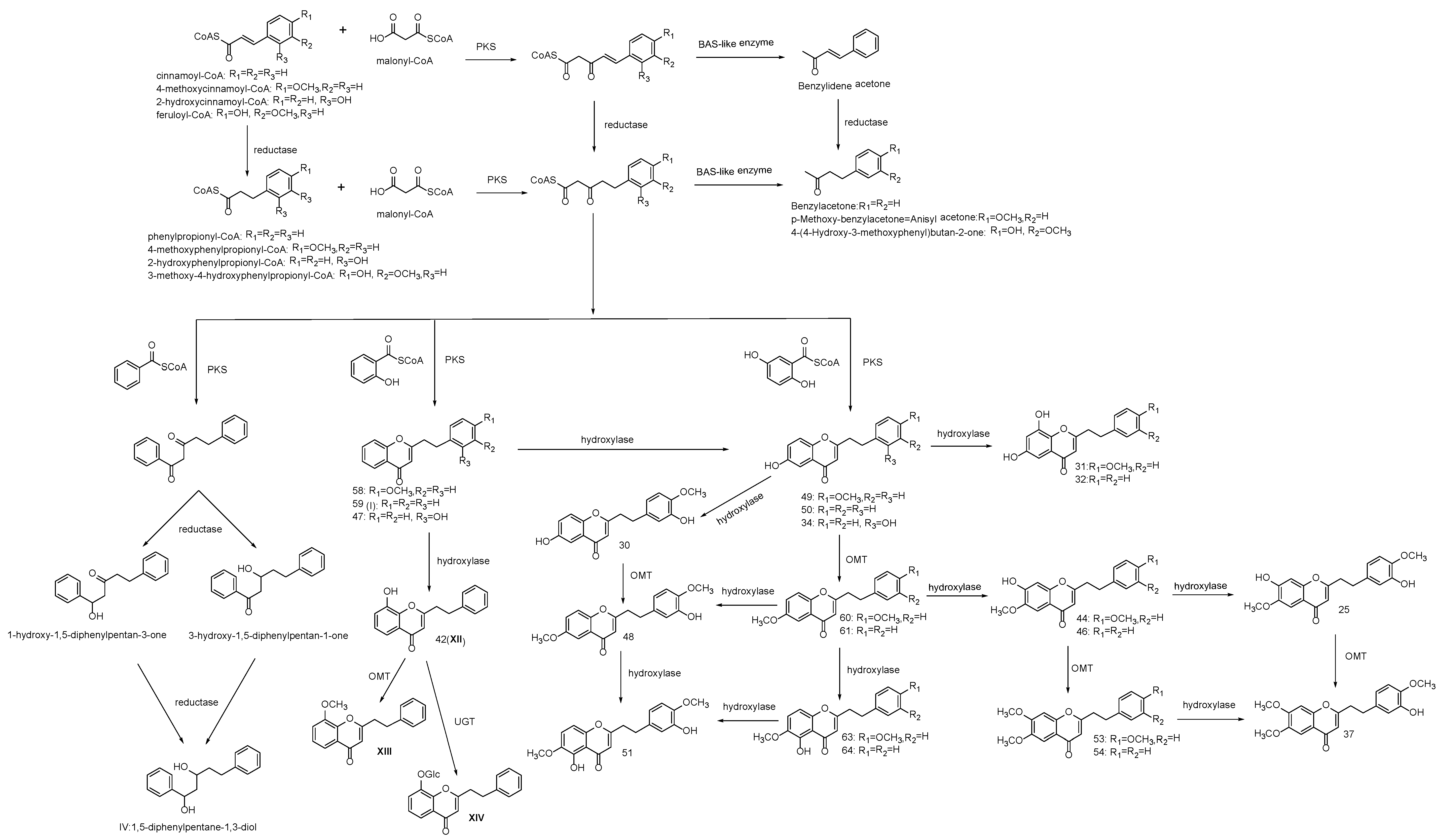 Molecules 23 01261 g005 550