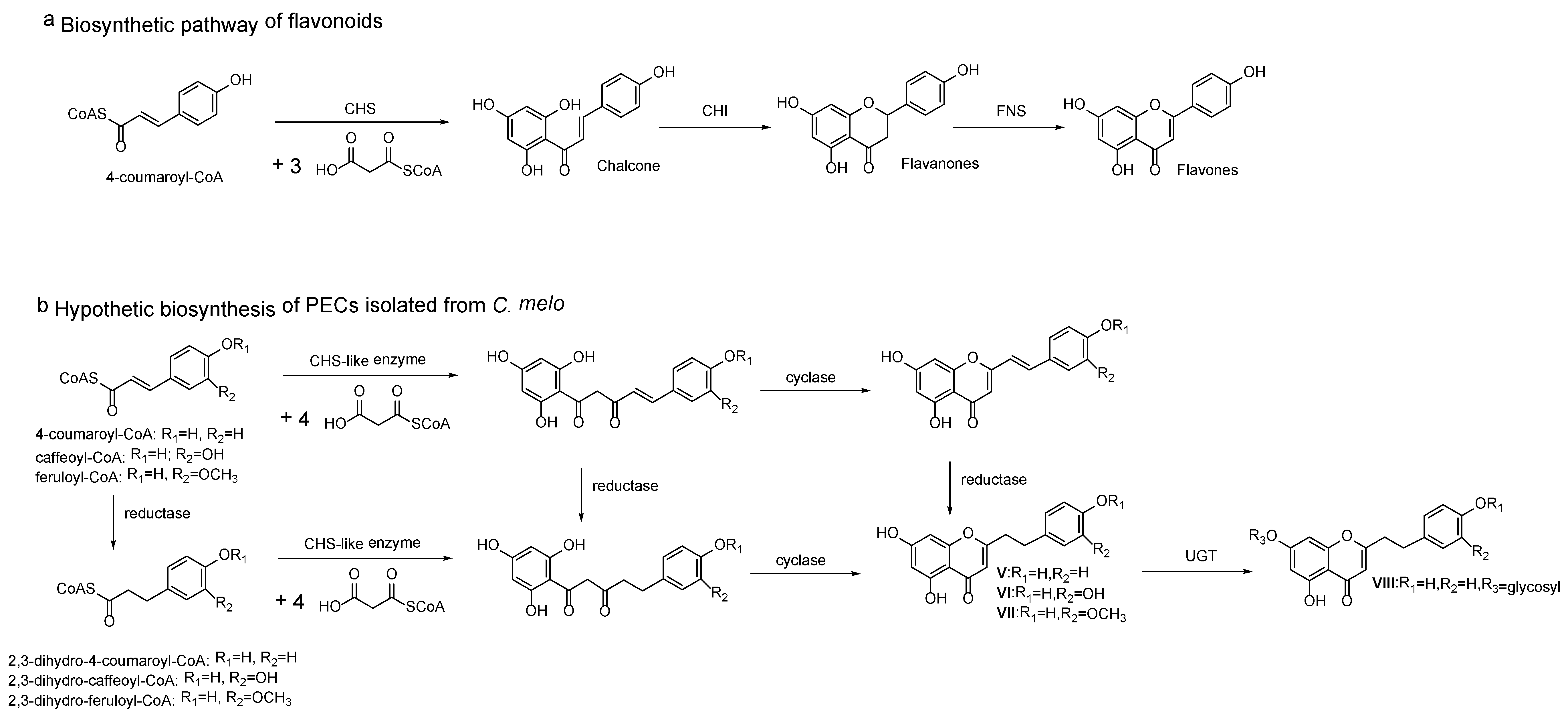 Molecules 23 01261 g006 550