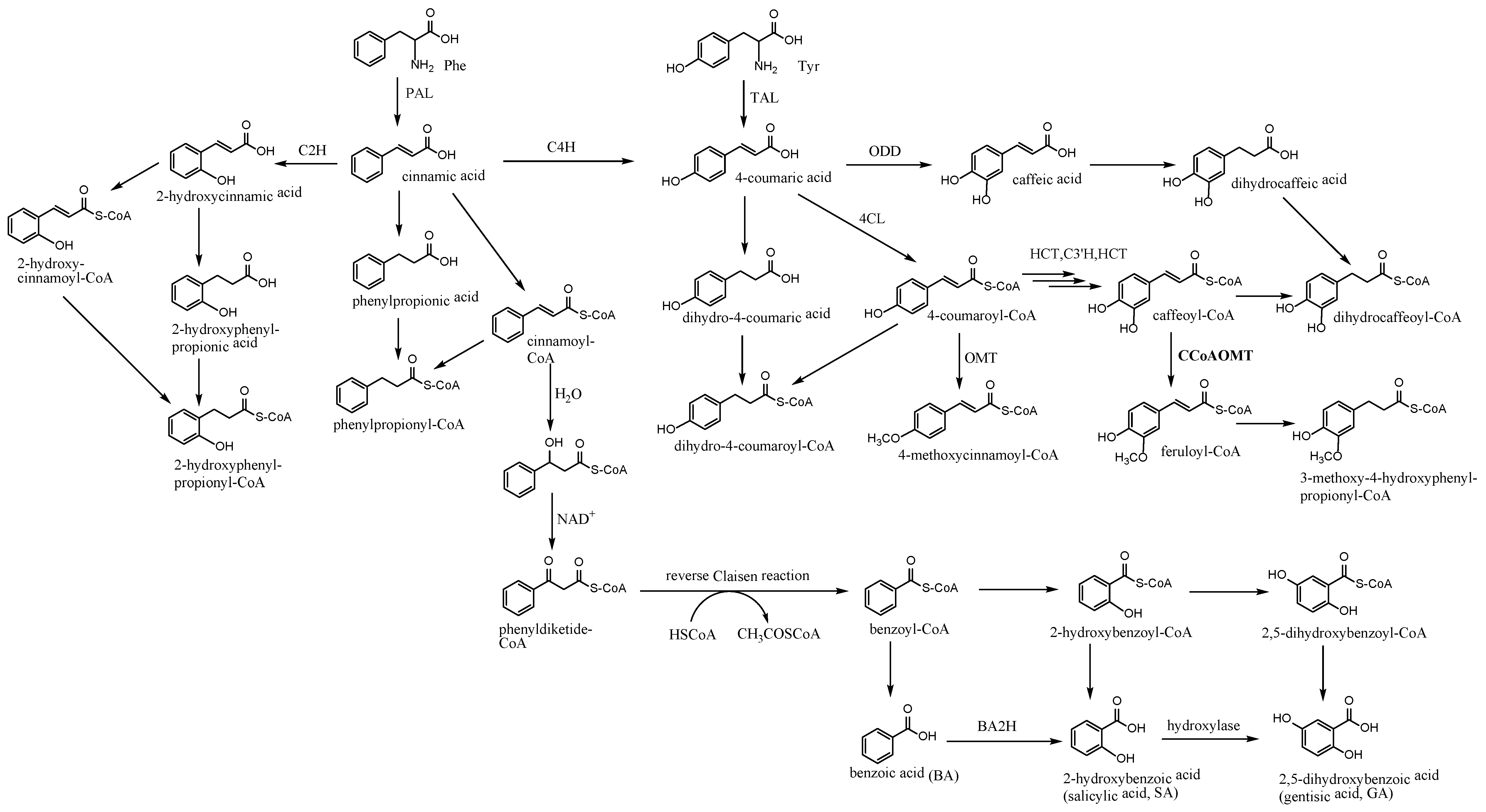 Molecules 23 01261 g007 550