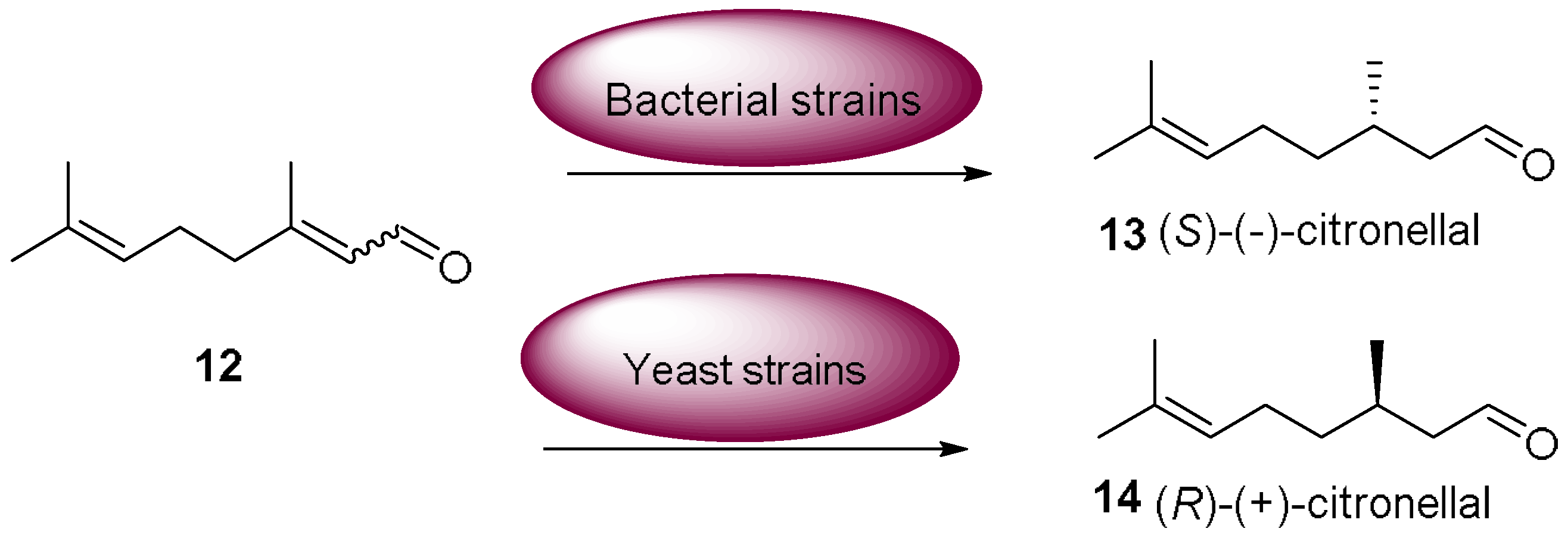 Molecules 23 01265 sch006 550