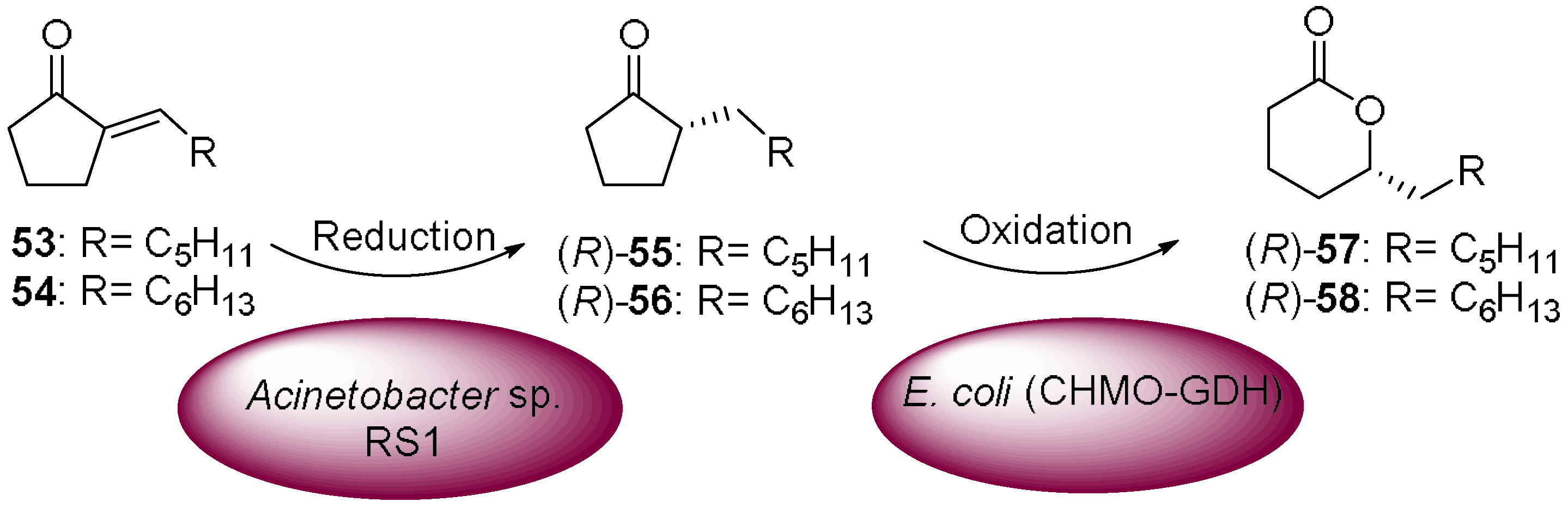 Molecules 23 01265 sch014 550