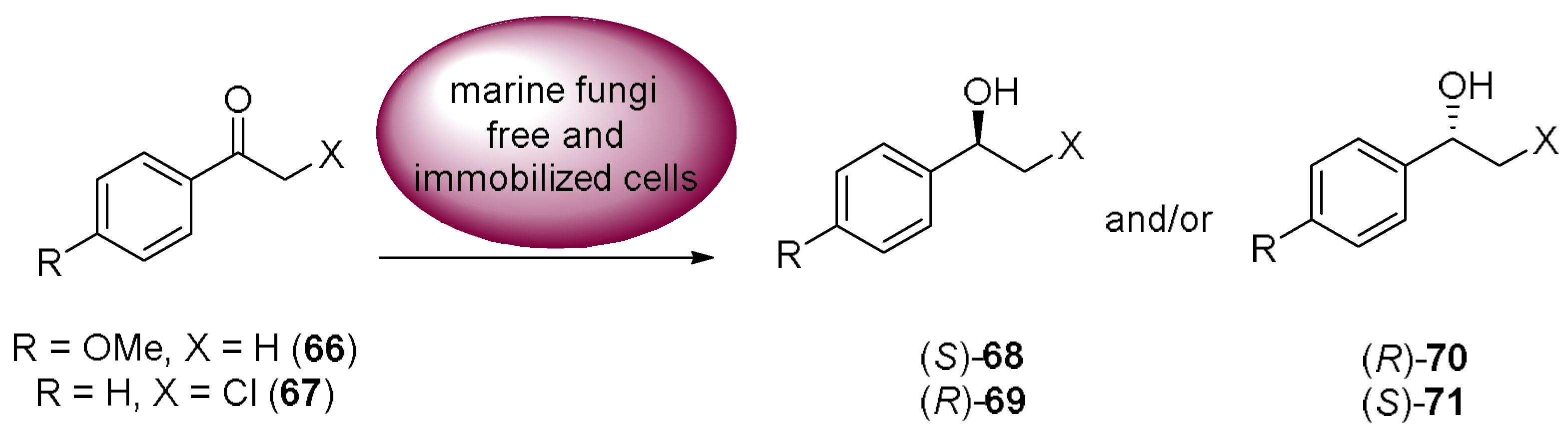 Molecules 23 01265 sch018 550