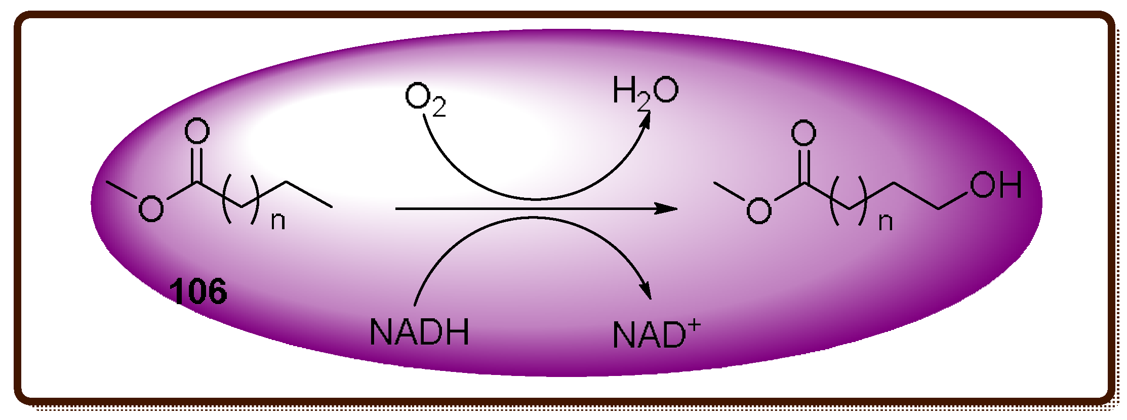 Molecules 23 01265 sch032 550