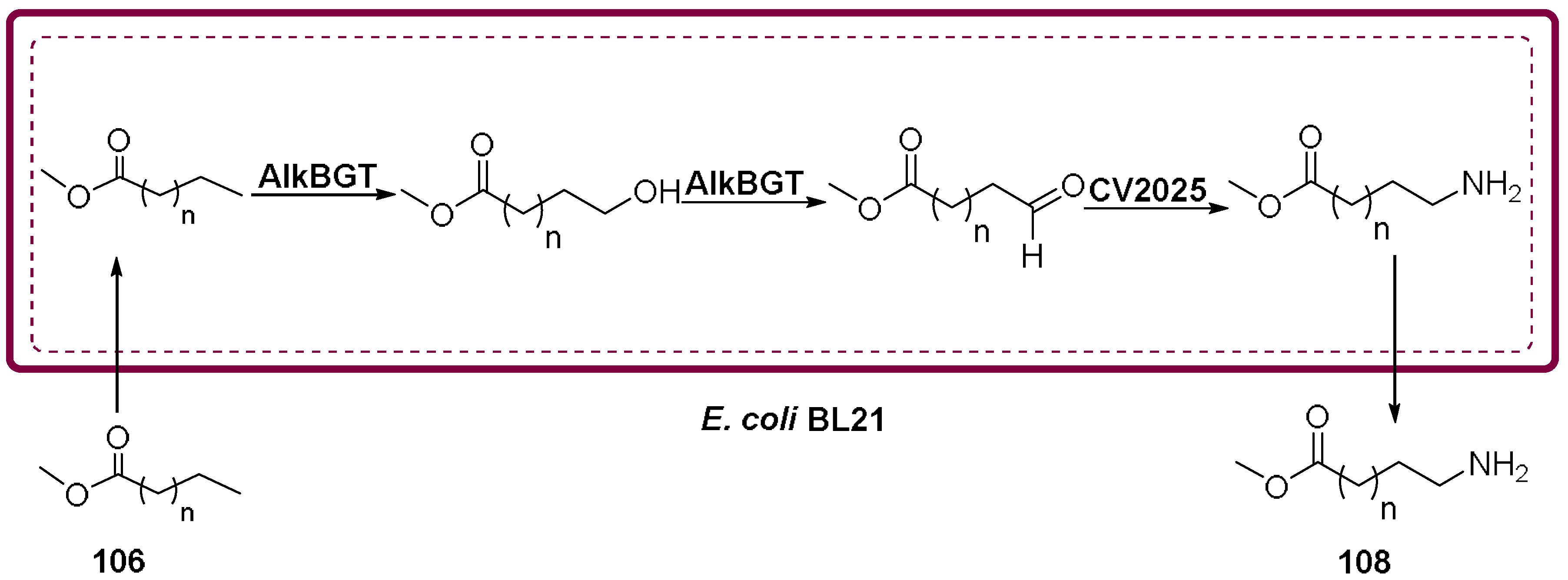Molecules 23 01265 sch033 550